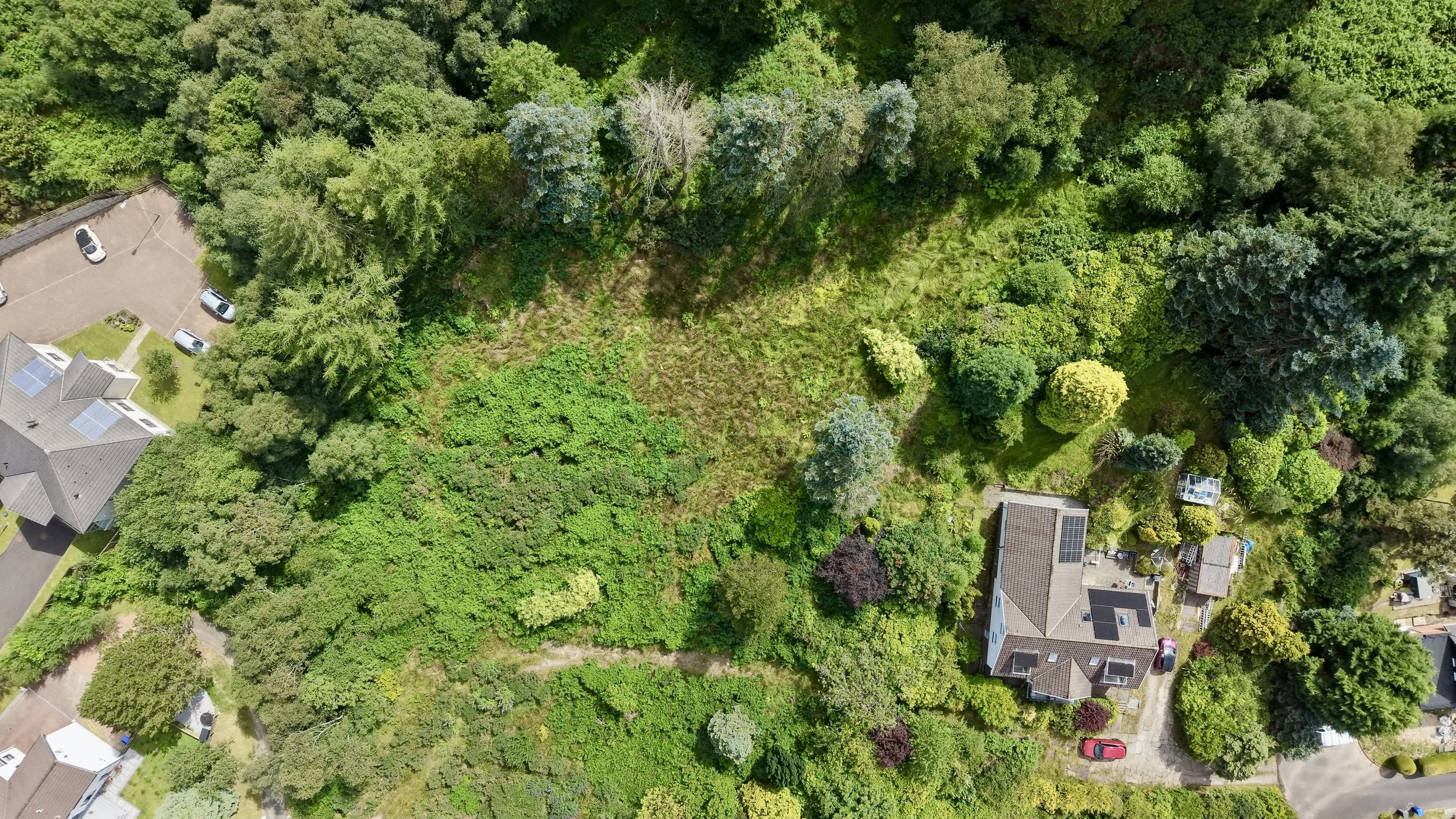 dji_fly_20260719_140404_0503_1784466739478_photo.jpg