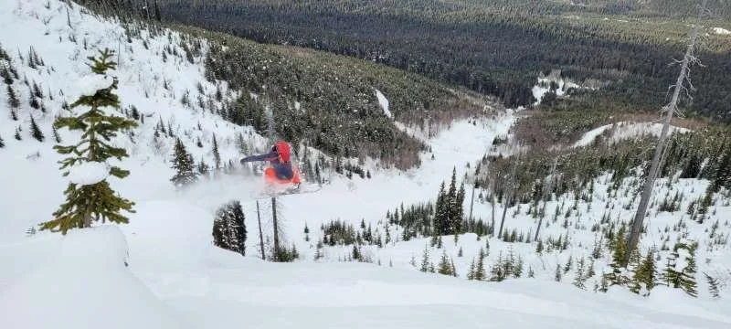 Soar