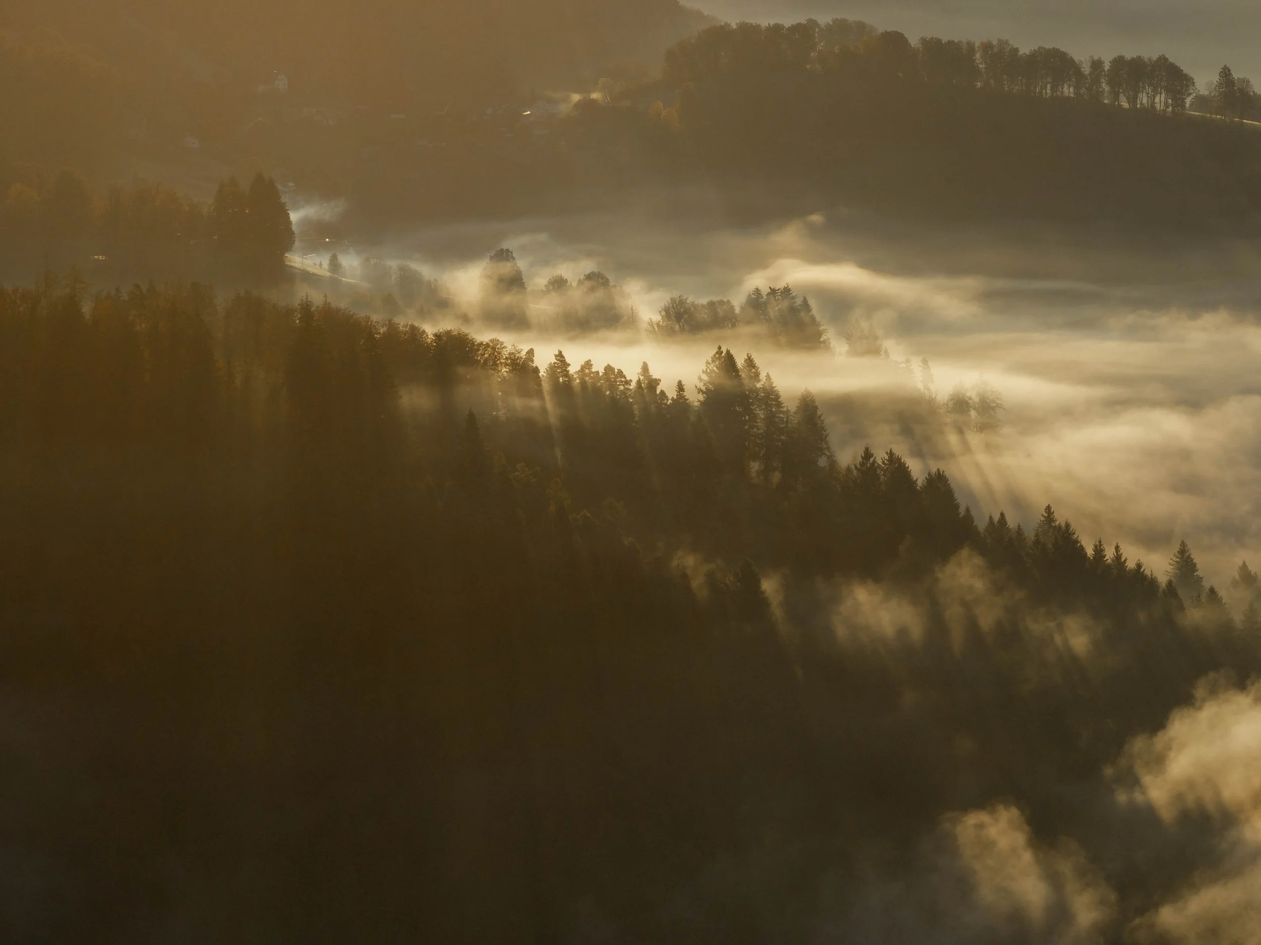 DJI_20241030074946_0114_D-HDR.jpg