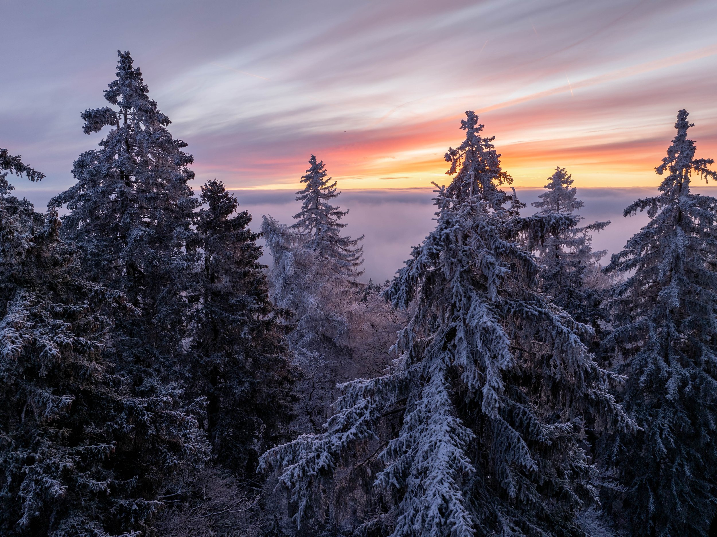 Feldberg Traumbedingungen Drone (10 von 60).jpg