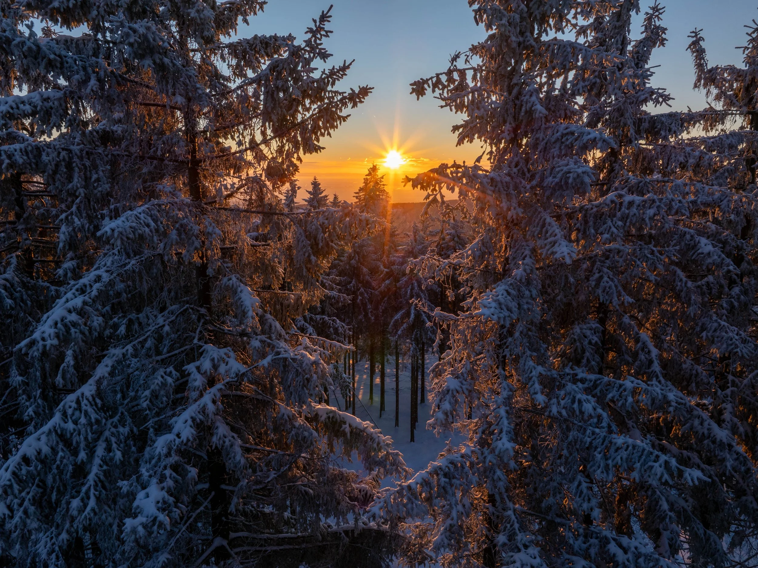 DJI_20260111083307_0256_D-HDR.jpg