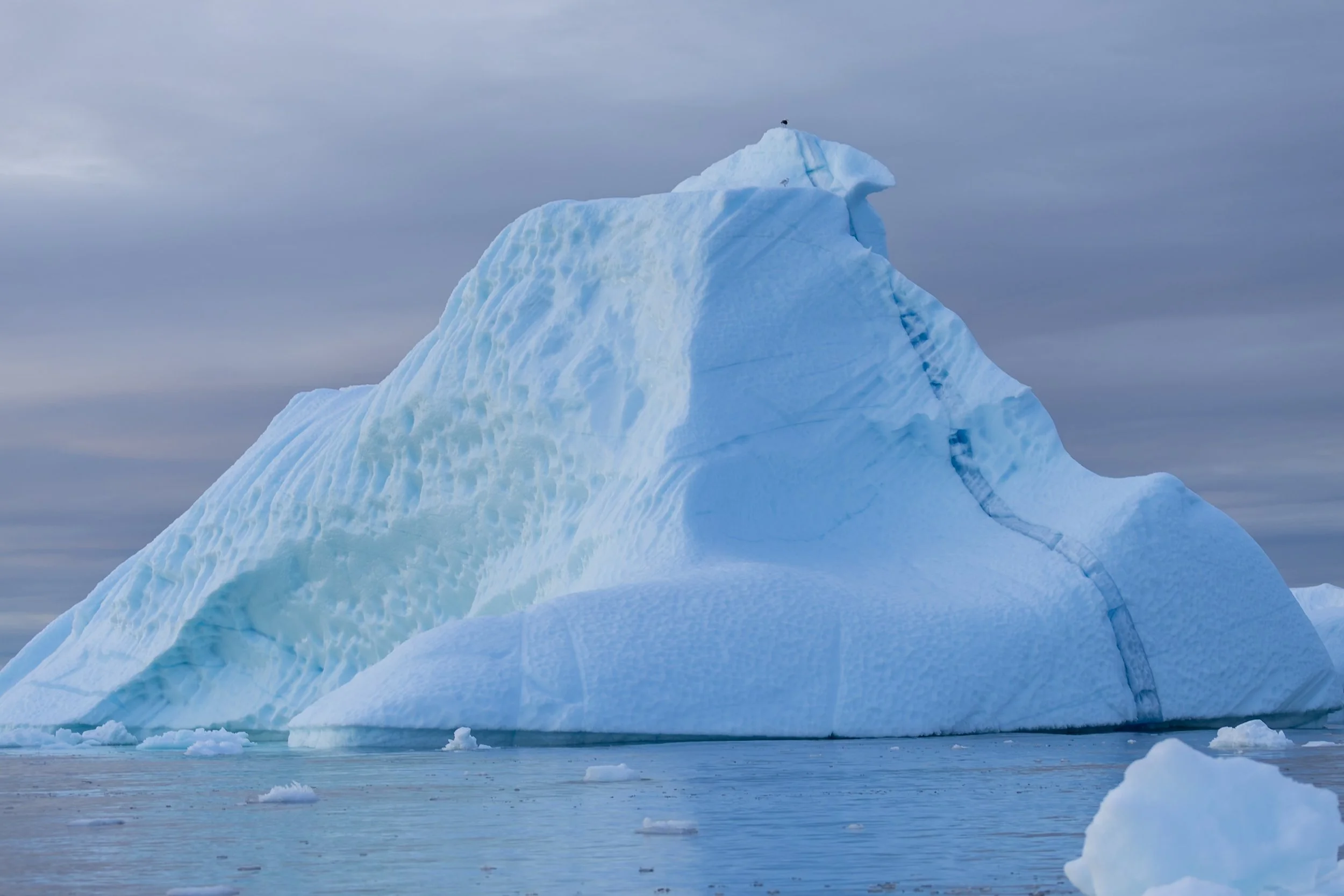 Ilulissat Fotos (561 von 2038).jpg