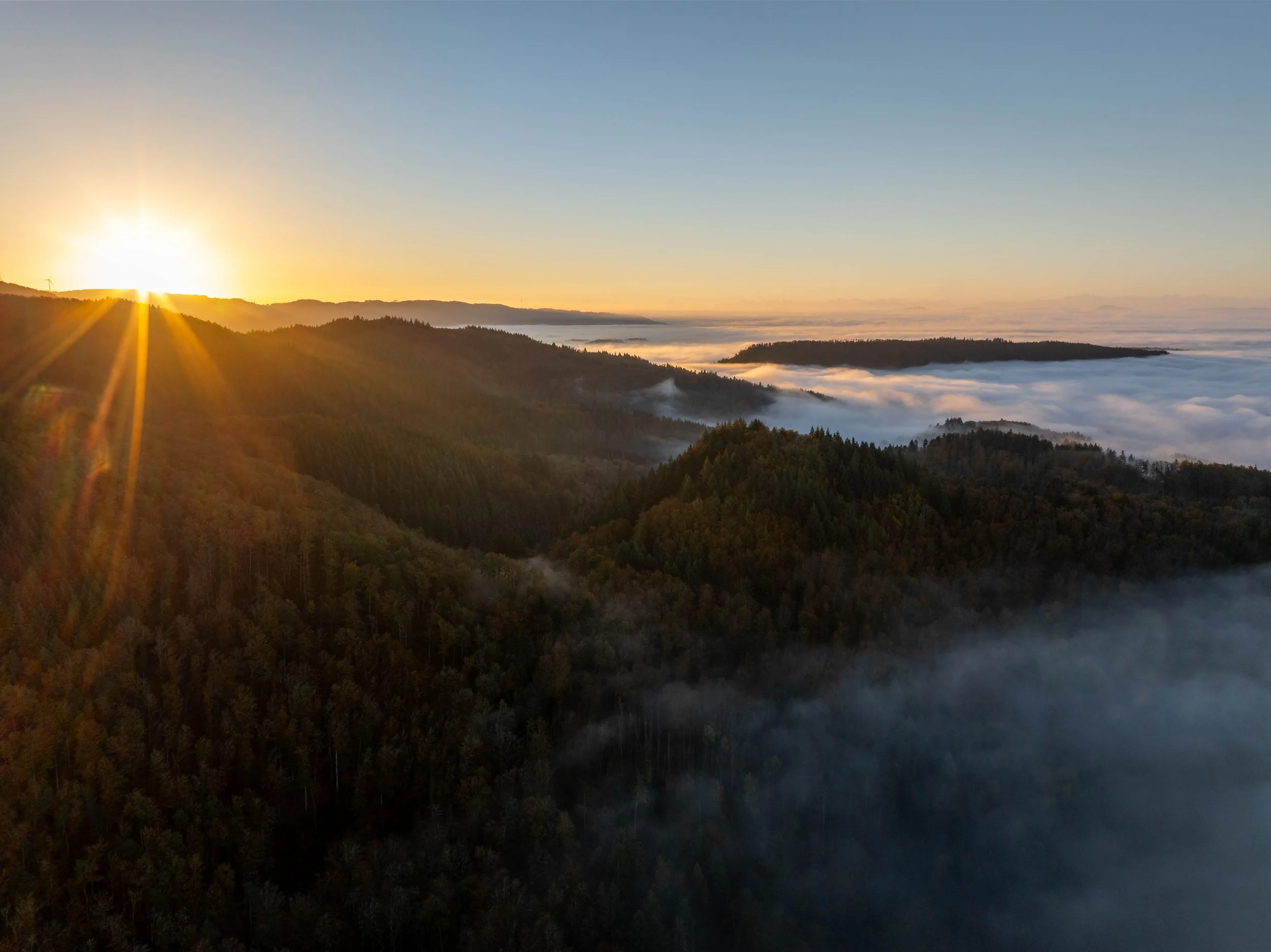 DJI_20241030073023_0047_D-HDR.jpg