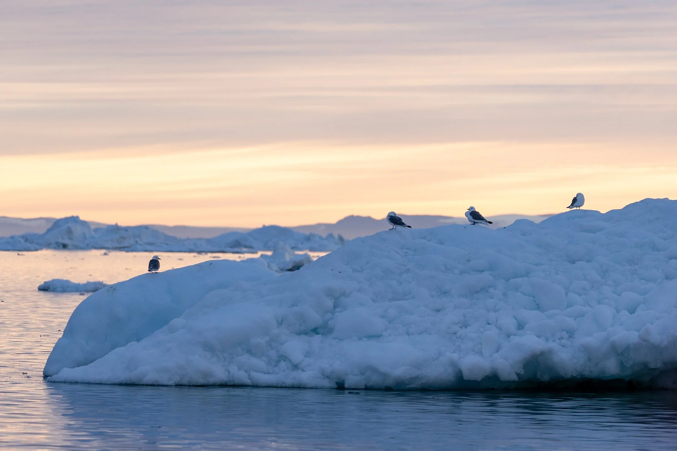 Ilulissat Fotos (176 von 2038).jpg