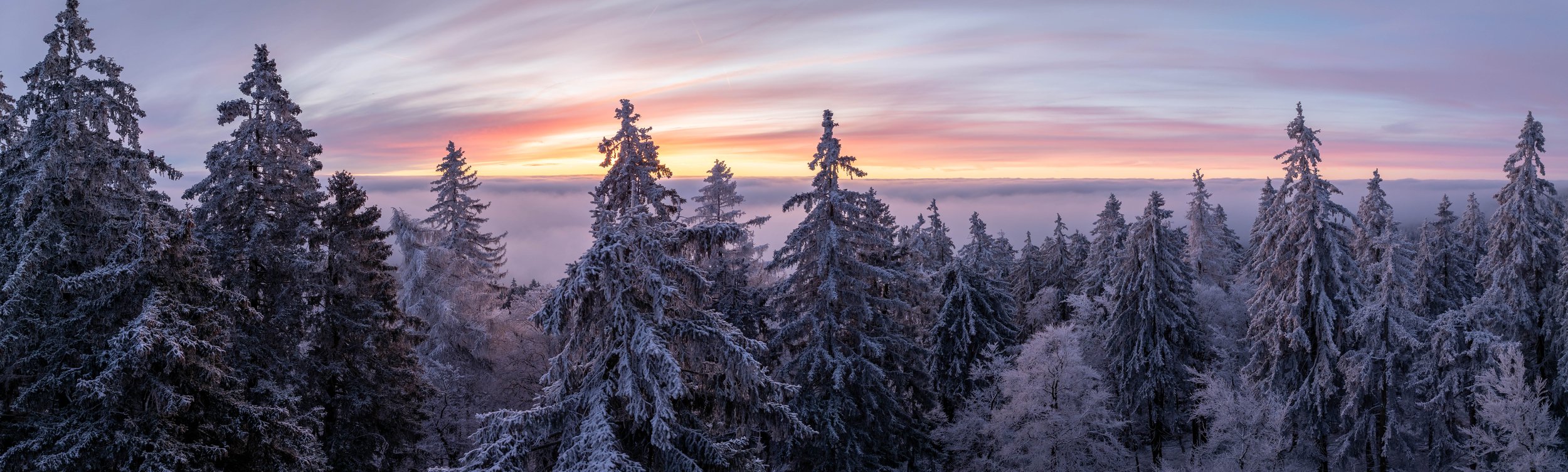 DJI_20241212080335_0062_D-HDR-Pano.jpg
