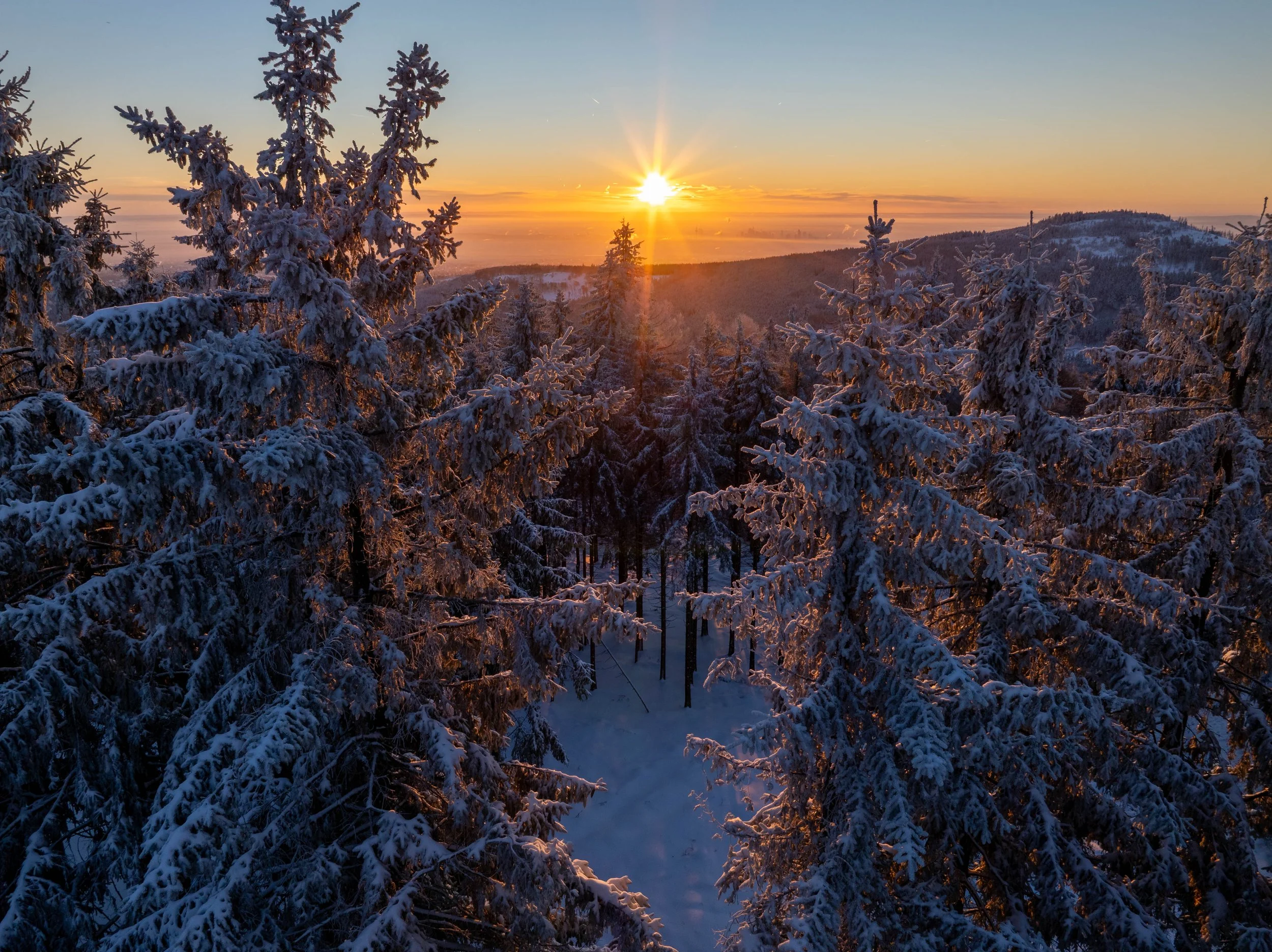 DJI_20260111083231_0252_D-HDR.jpg