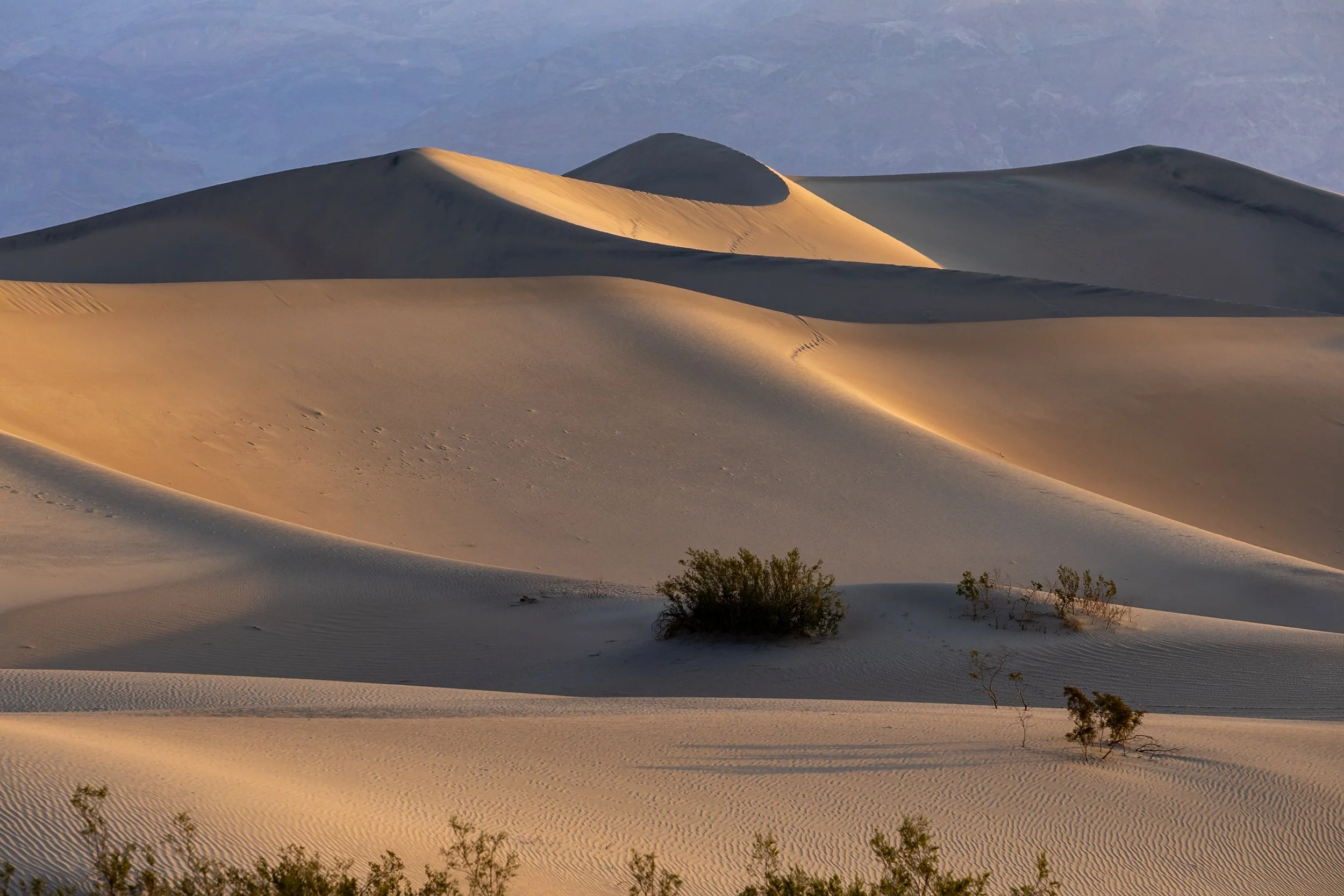 Mesquite Sanddünen Death Valley  (2 von 4).jpg