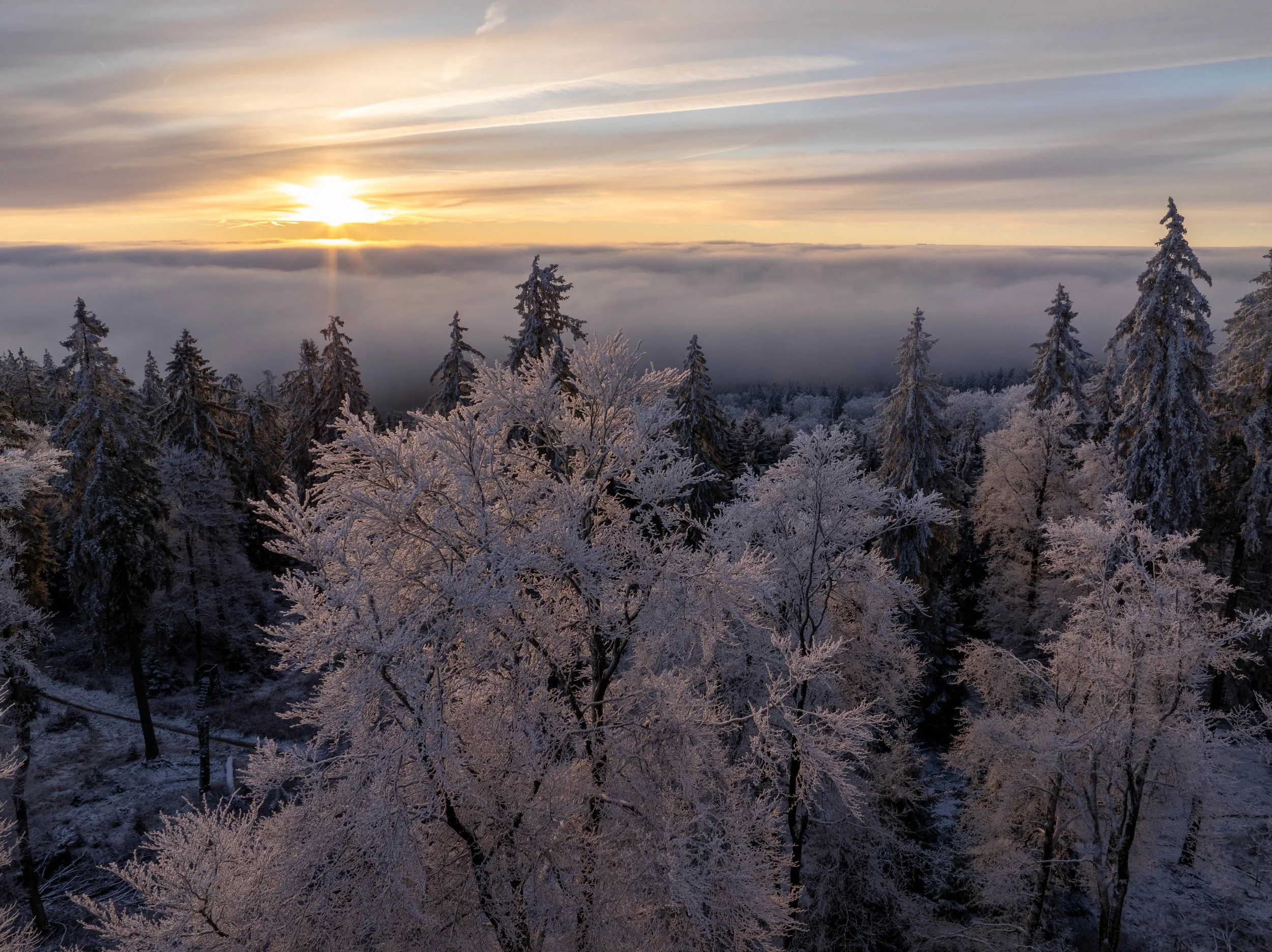Feldberg Traumbedingungen Drone (58 von 60).jpg