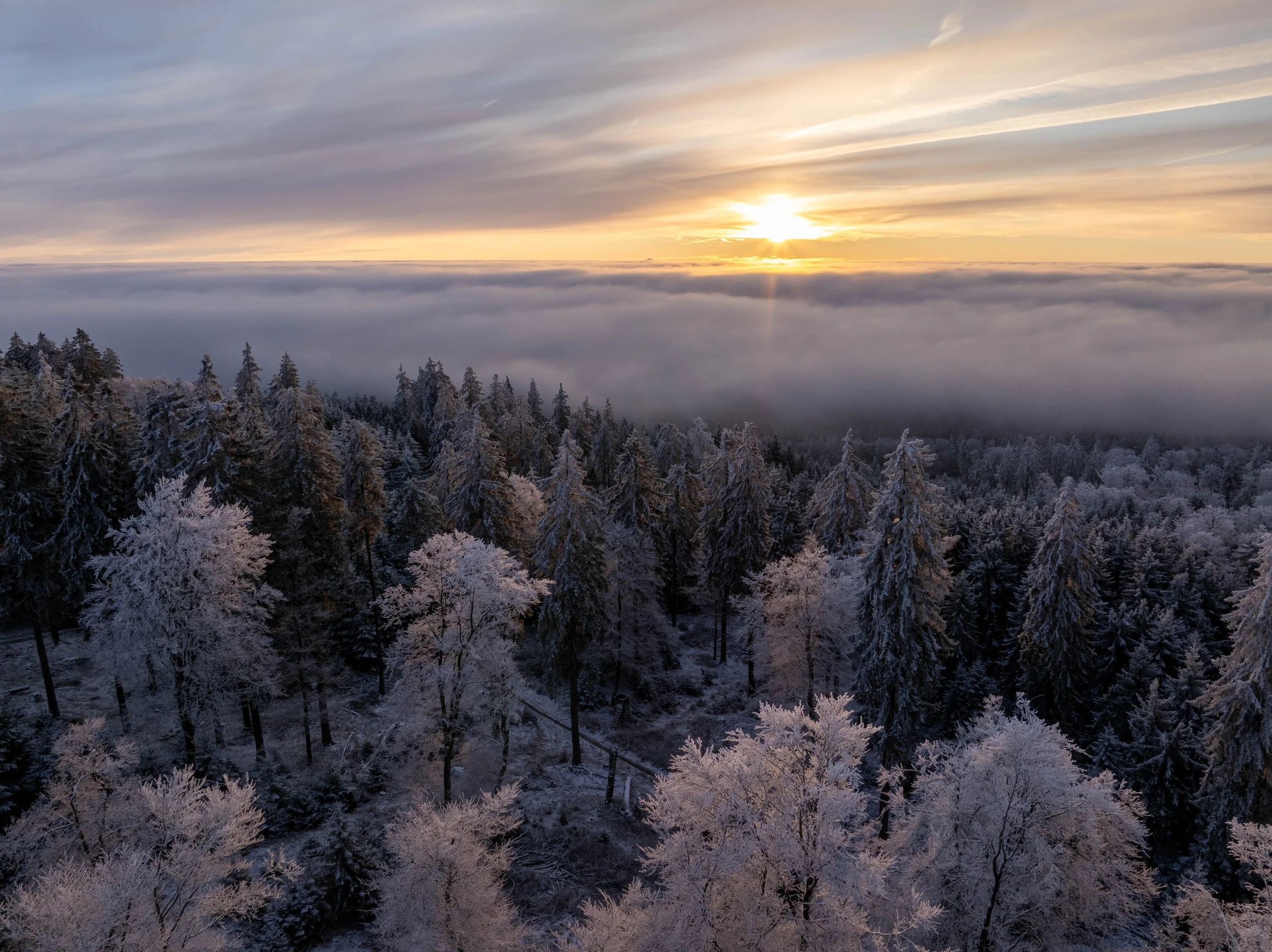 Feldberg Traumbedingungen Drone (56 von 60).jpg