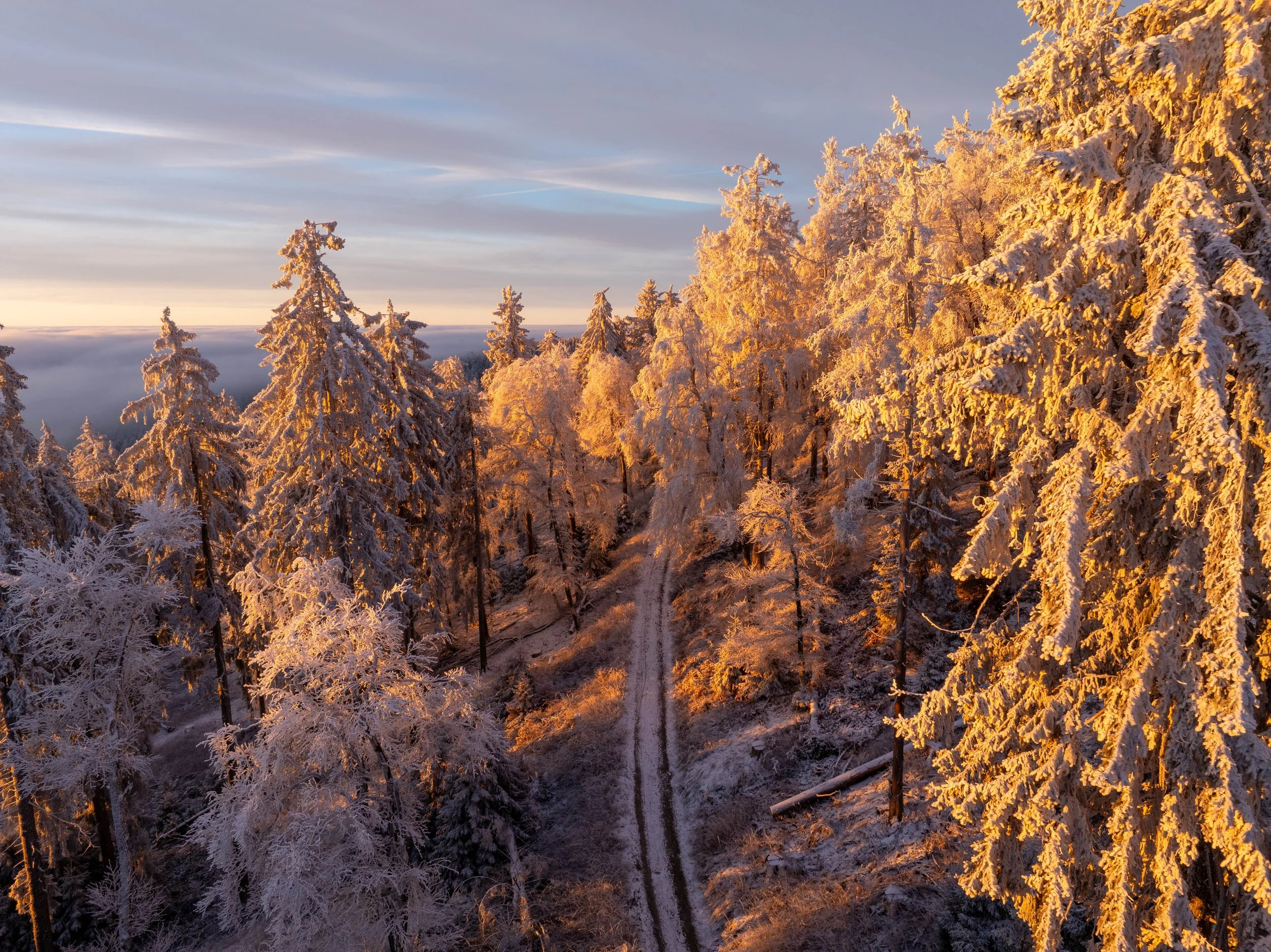 Feldberg Traumbedingungen Drone (33 von 60).jpg