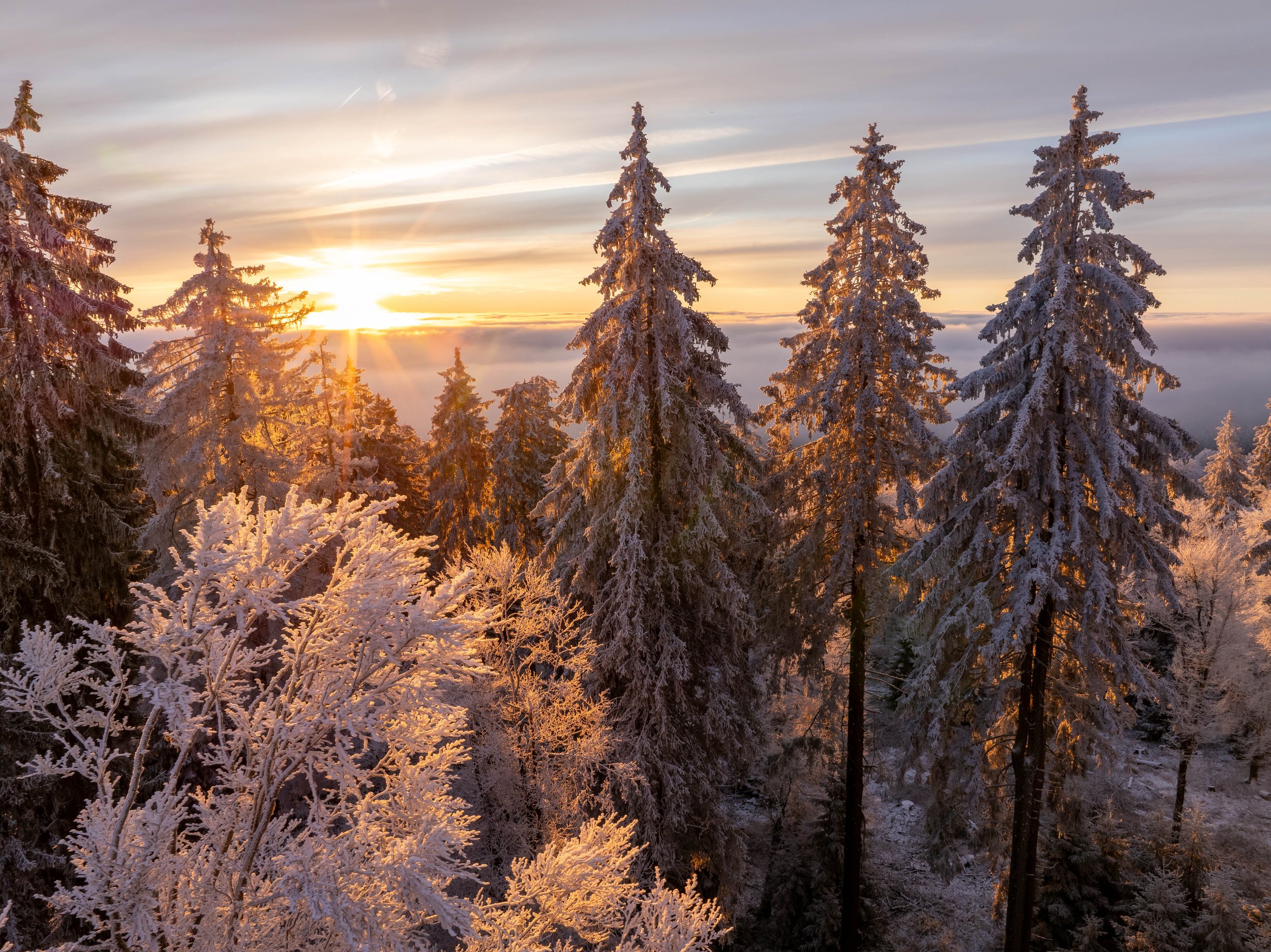 Feldberg Traumbedingungen Drone (38 von 60).jpg