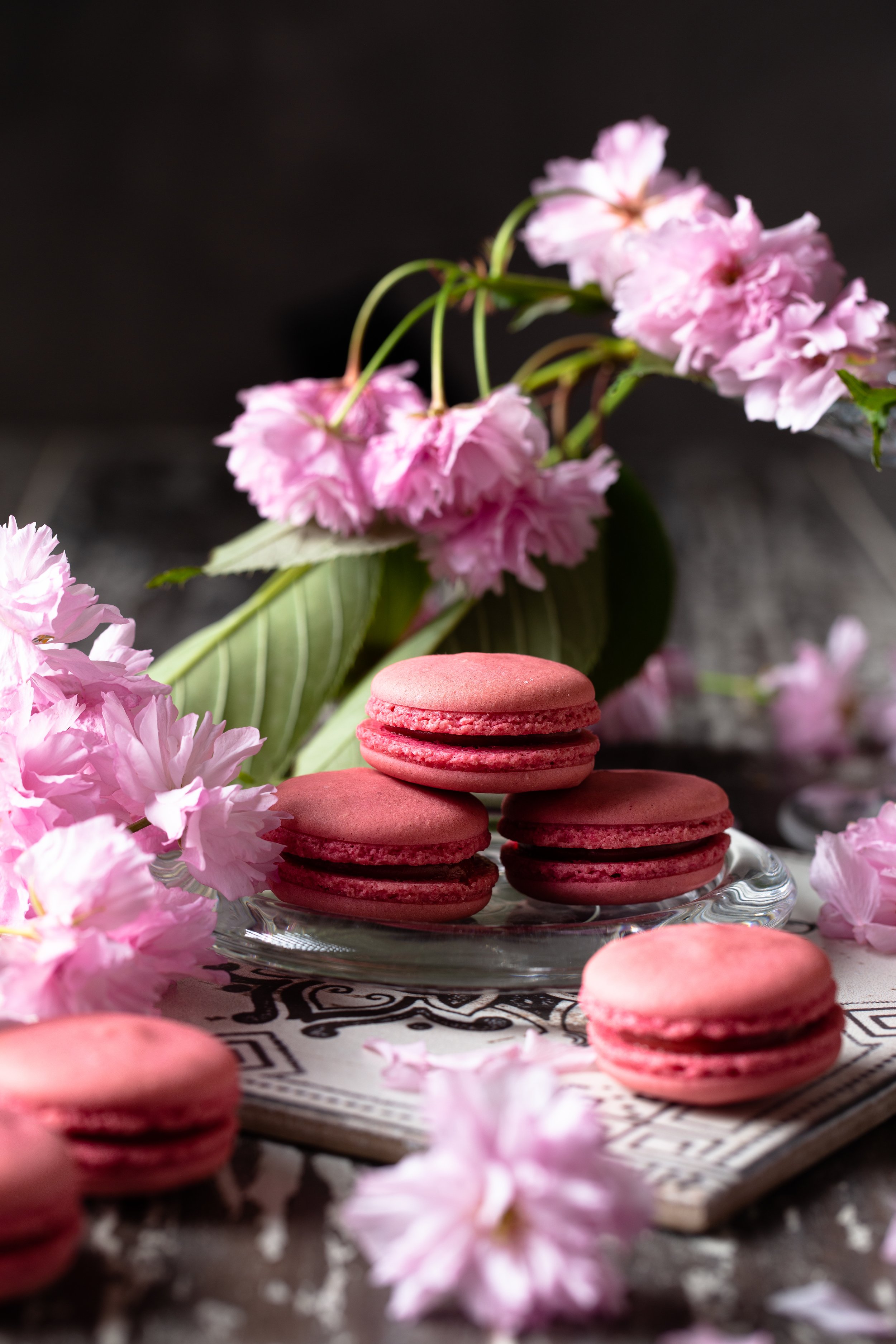 Macarons rosa Linda Treasures-17302.jpg