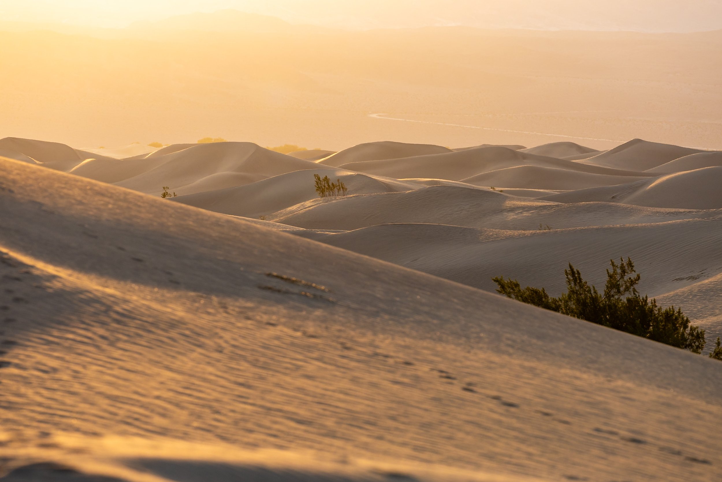 Mesquite Sanddünen Death Valley  (3 von 4).jpg