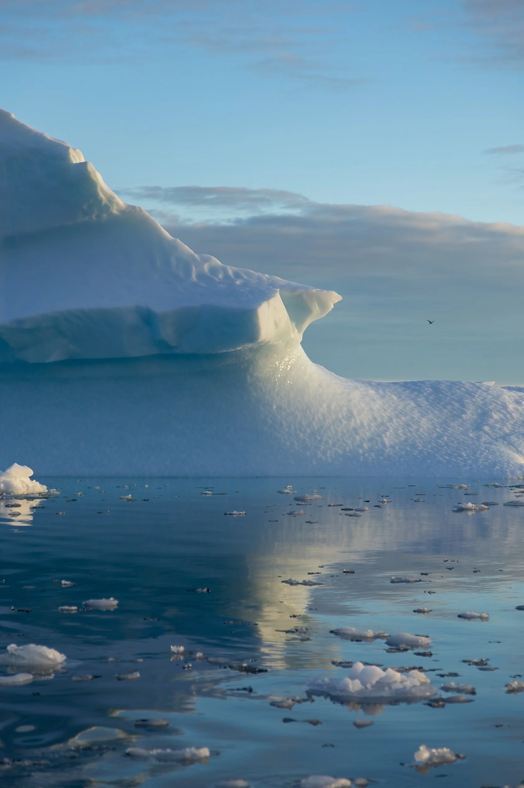 Ilulissat Fotos (710 von 2038).jpg