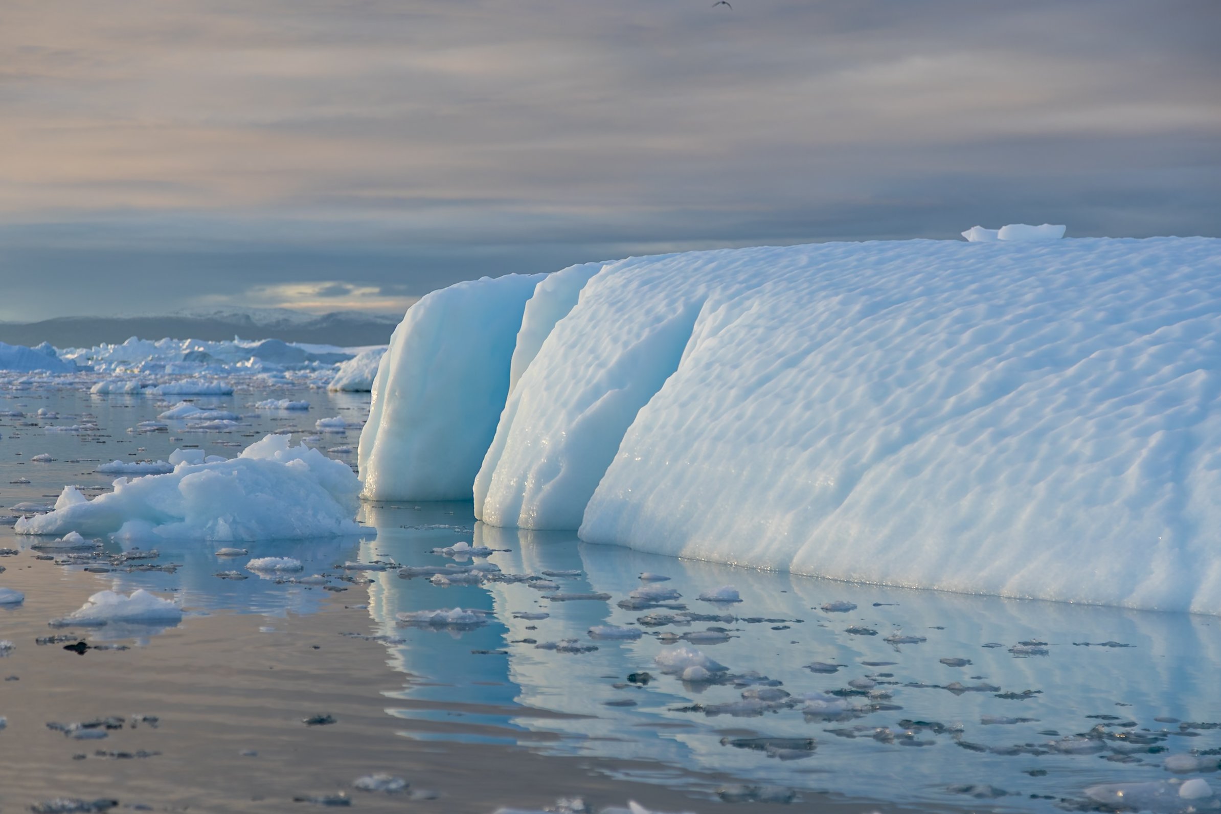 Ilulissat Fotos (679 von 2038).jpg