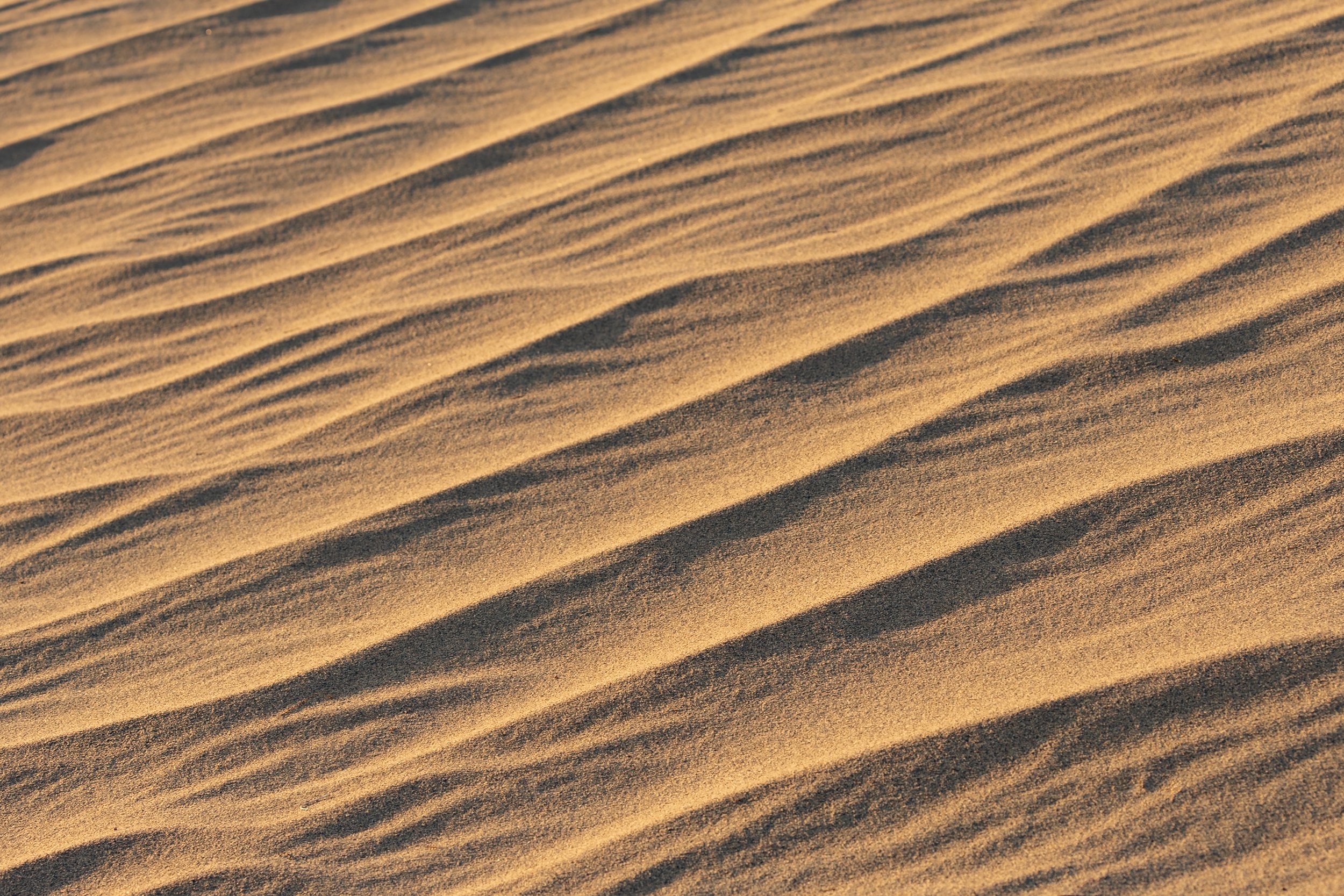 Mesquite Sanddünen Death Valley  (1 von 1).jpg