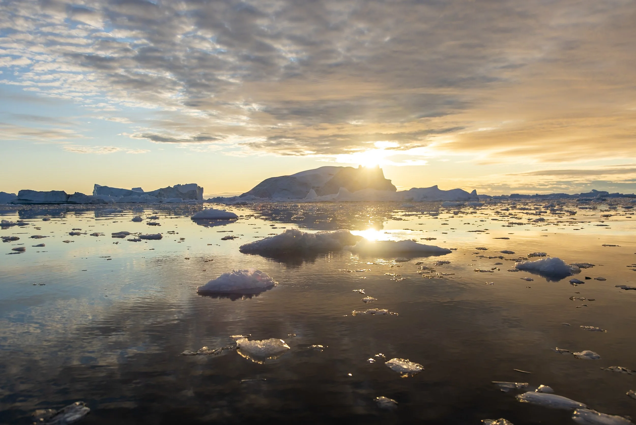 Ilulissat Fotos (714 von 2038).jpg
