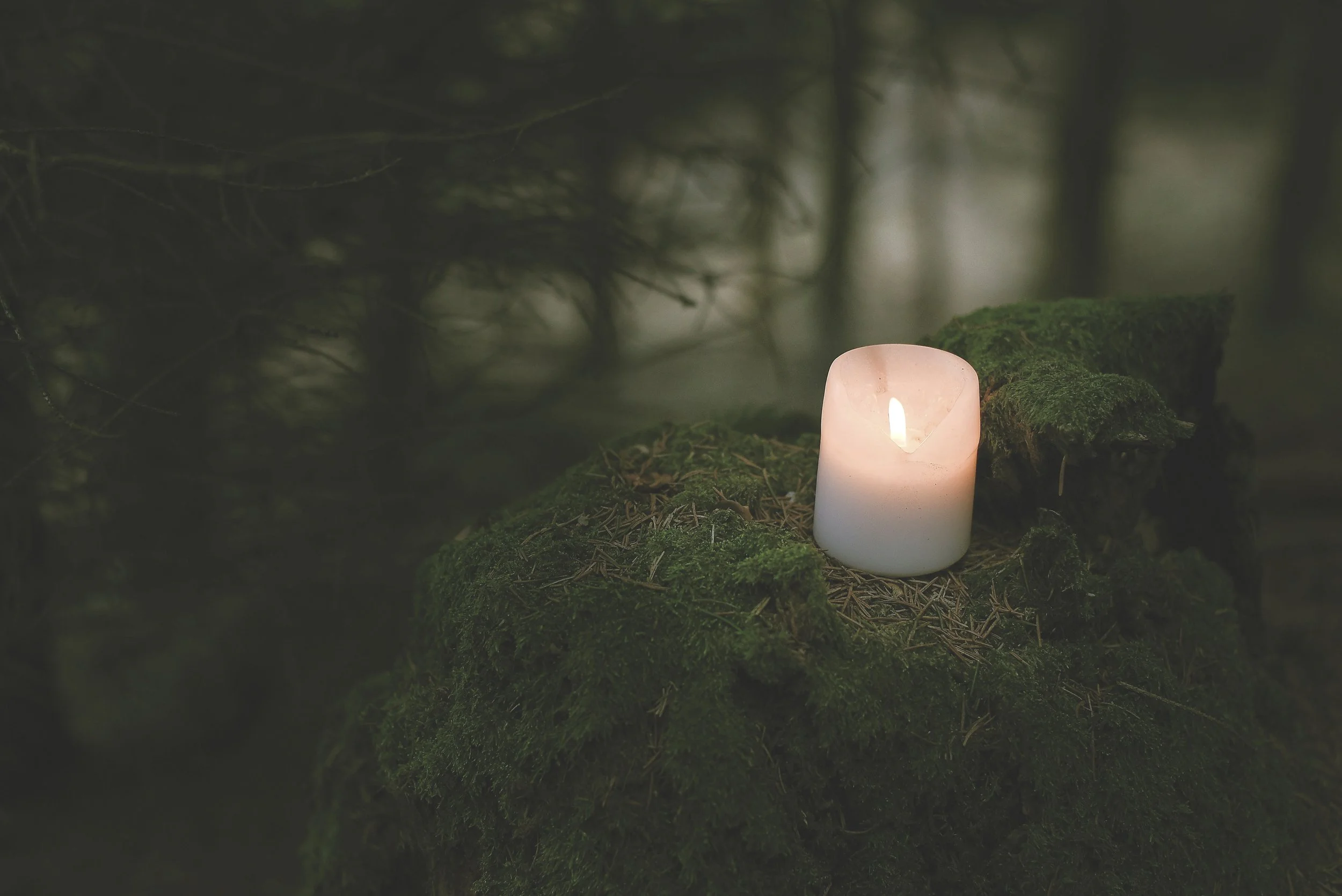 A lit white candle on a moss-covered tree stump in a forest setting.