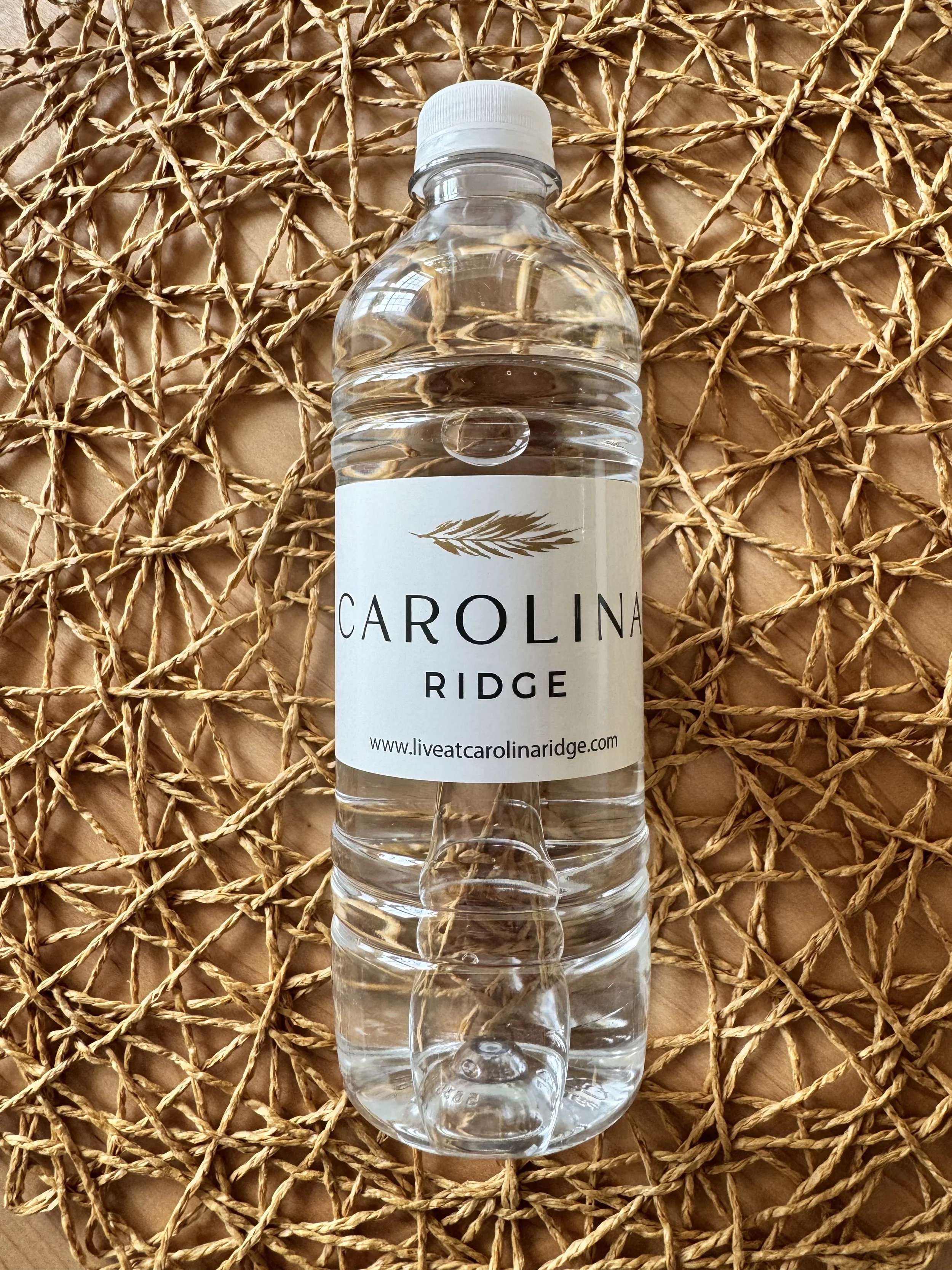 16.9 oz Custom Label Water for Hospitality