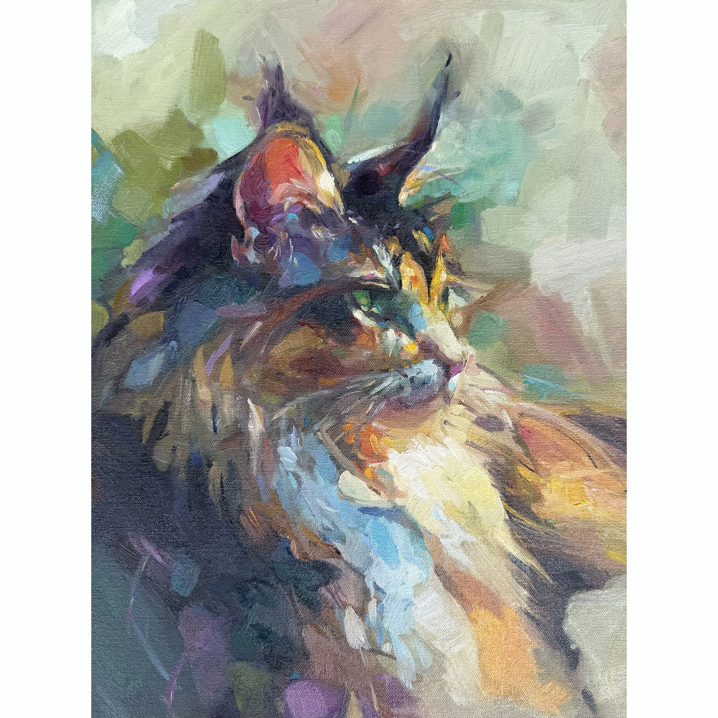 cat-10-2026.jpg