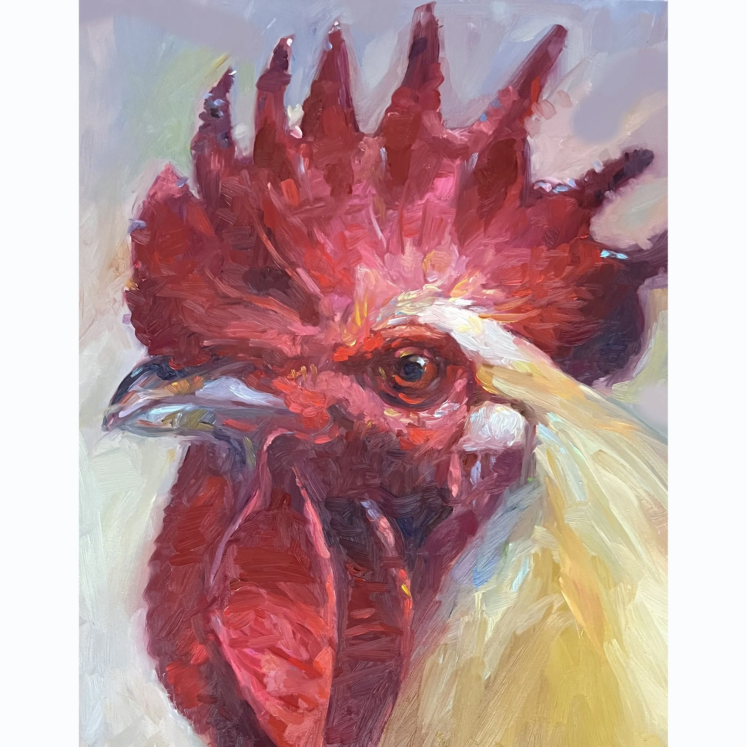 Rooster-10-9-22