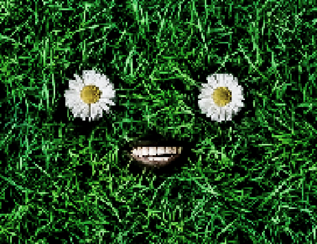 boi in ground 2.png
