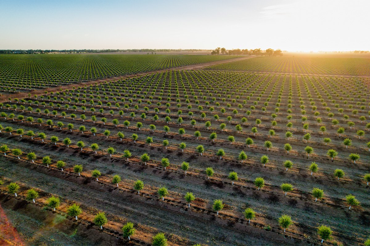 DJI_0015-HDR.jpg