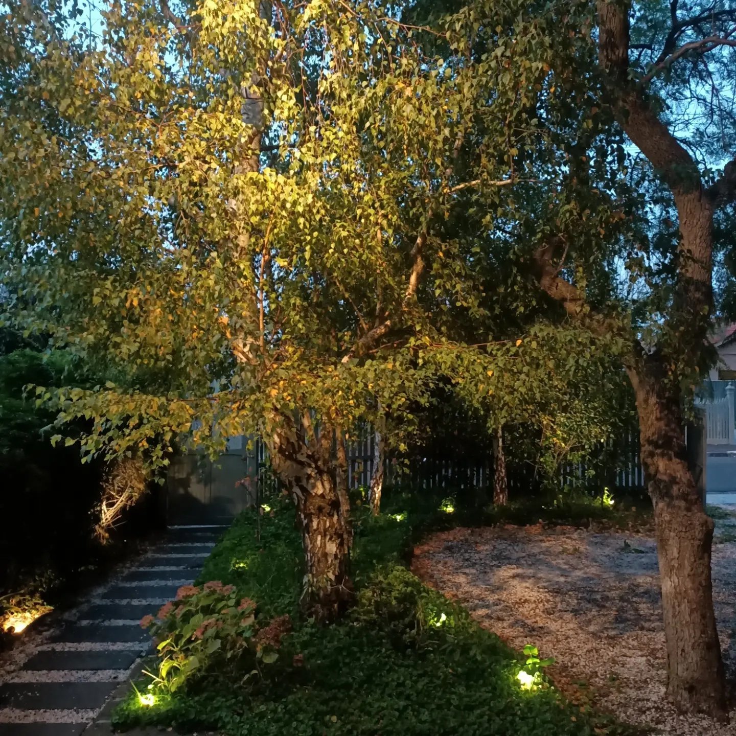 Garden Lighting