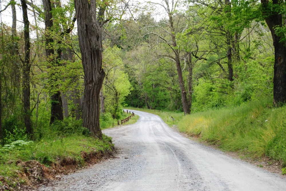Octoraro Reservoir — Lancaster Birds and Nature