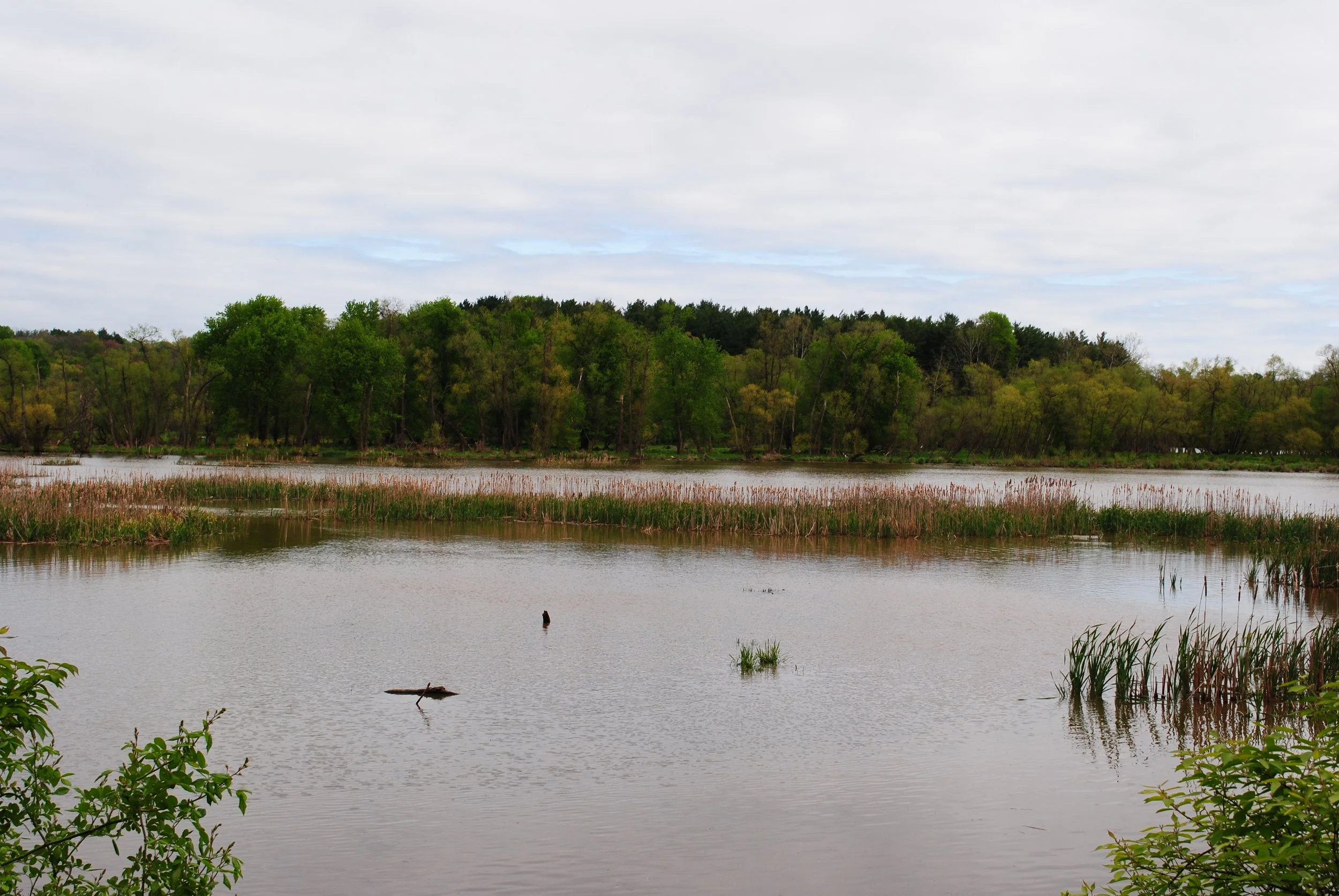 Octoraro Reservoir — Lancaster Birds and Nature