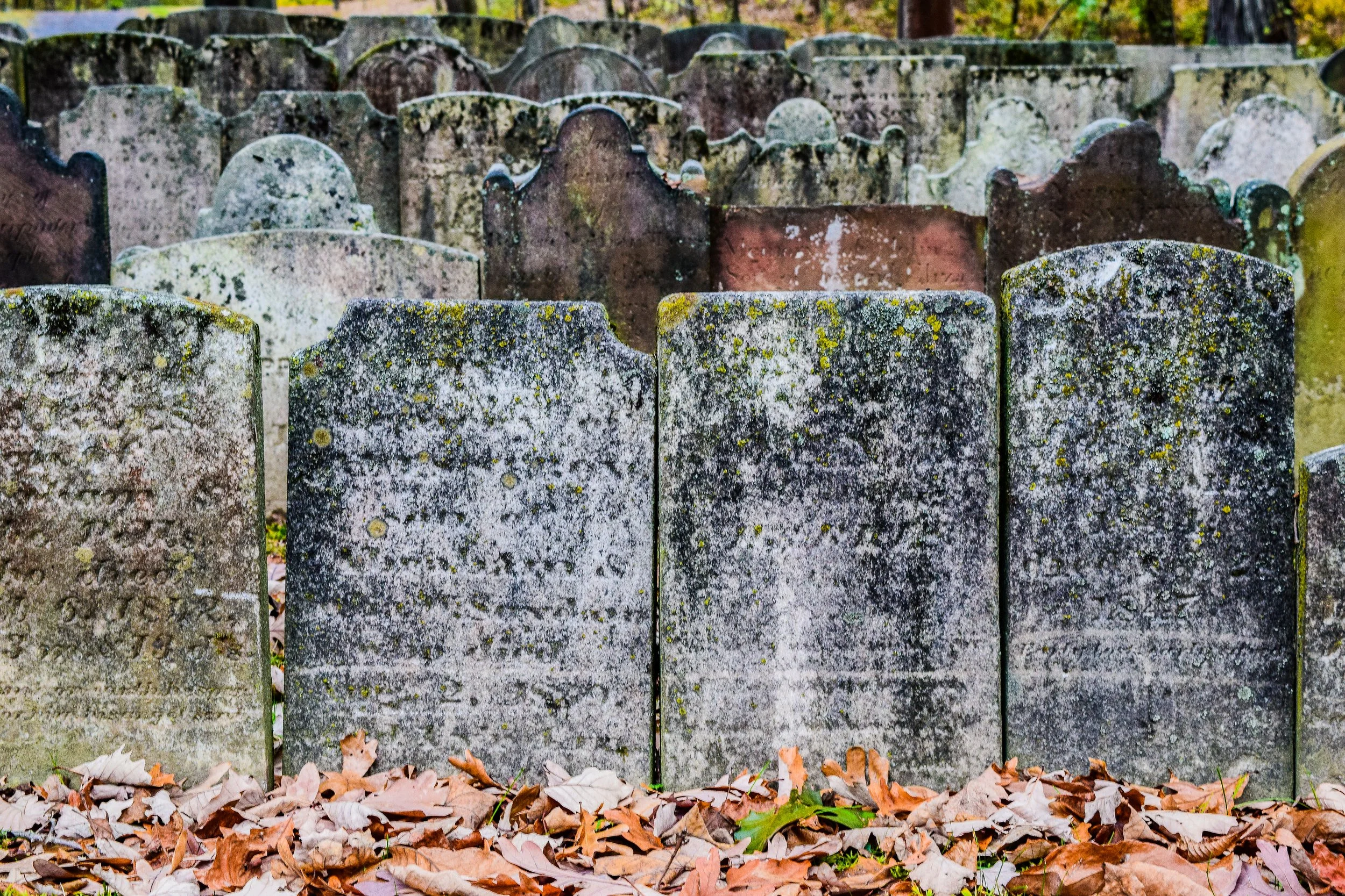 DSC_0465.jpg