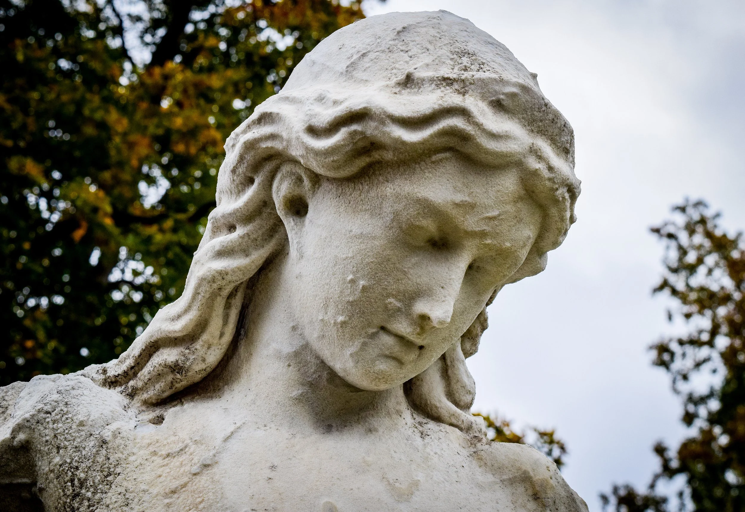 DSC_0141.jpg