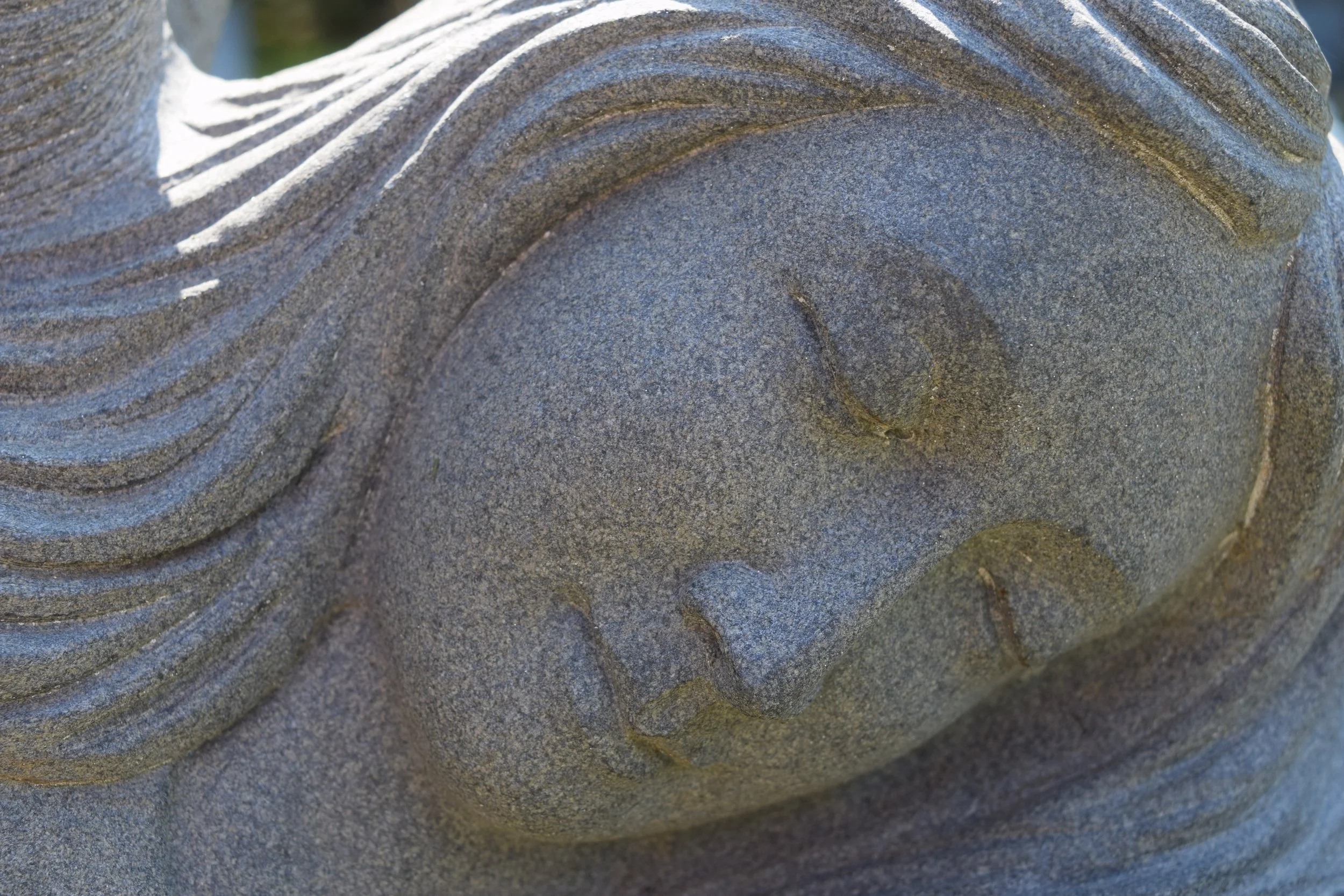 DSC_0171.JPG