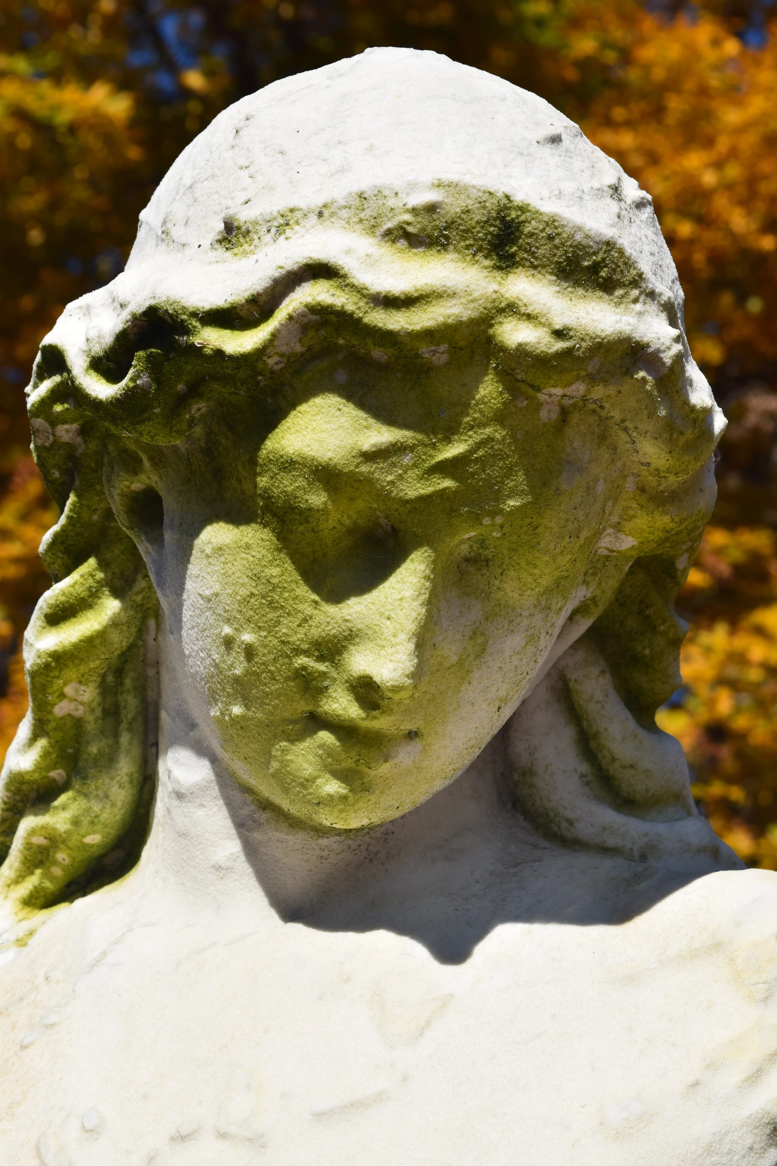 DSC_0039.JPG