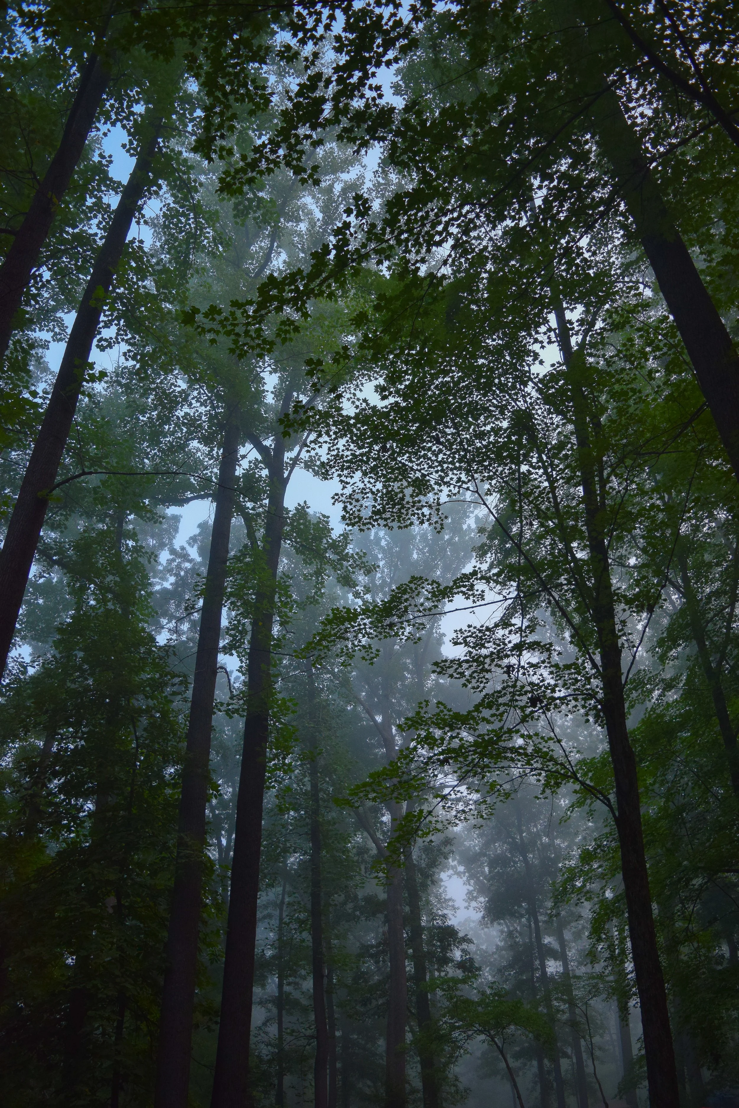 DSC_0252.jpg