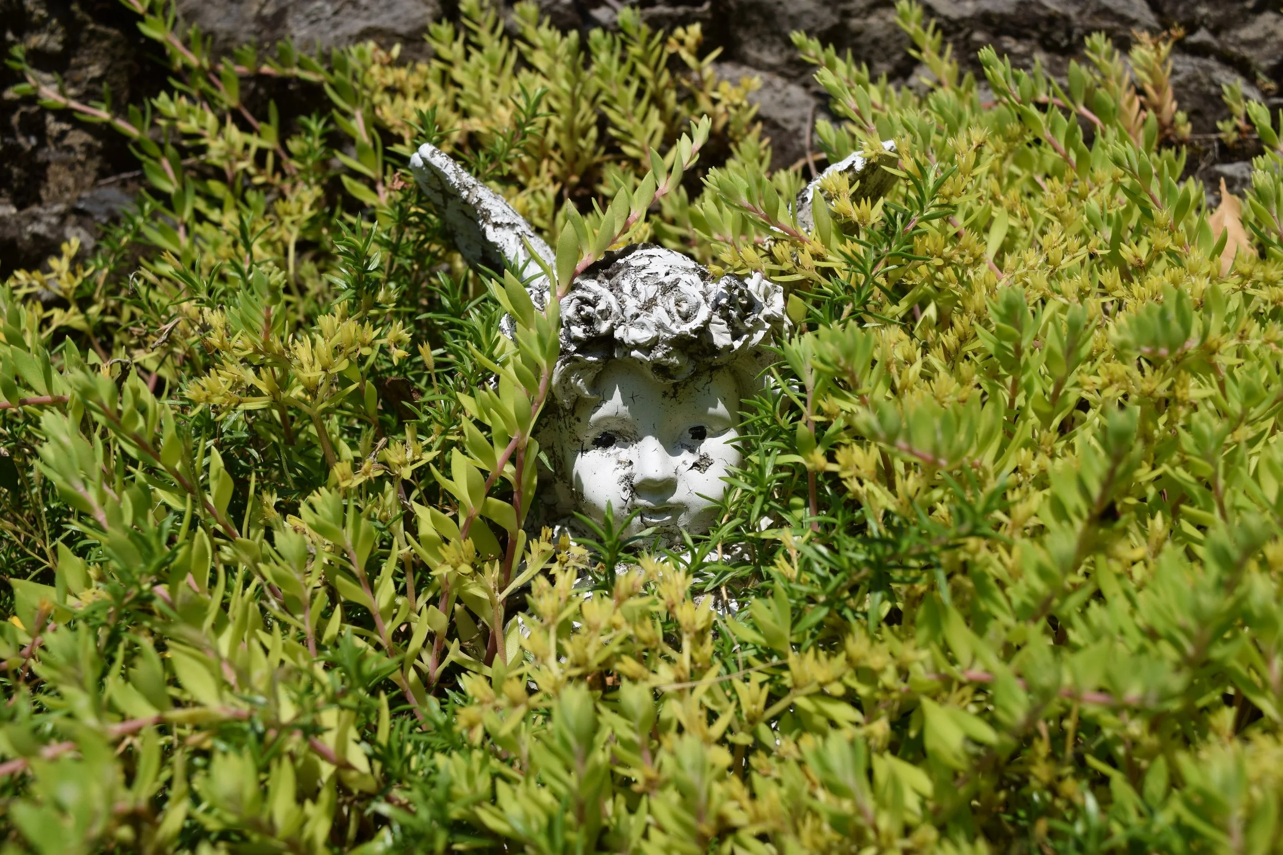 DSC_0189.JPG