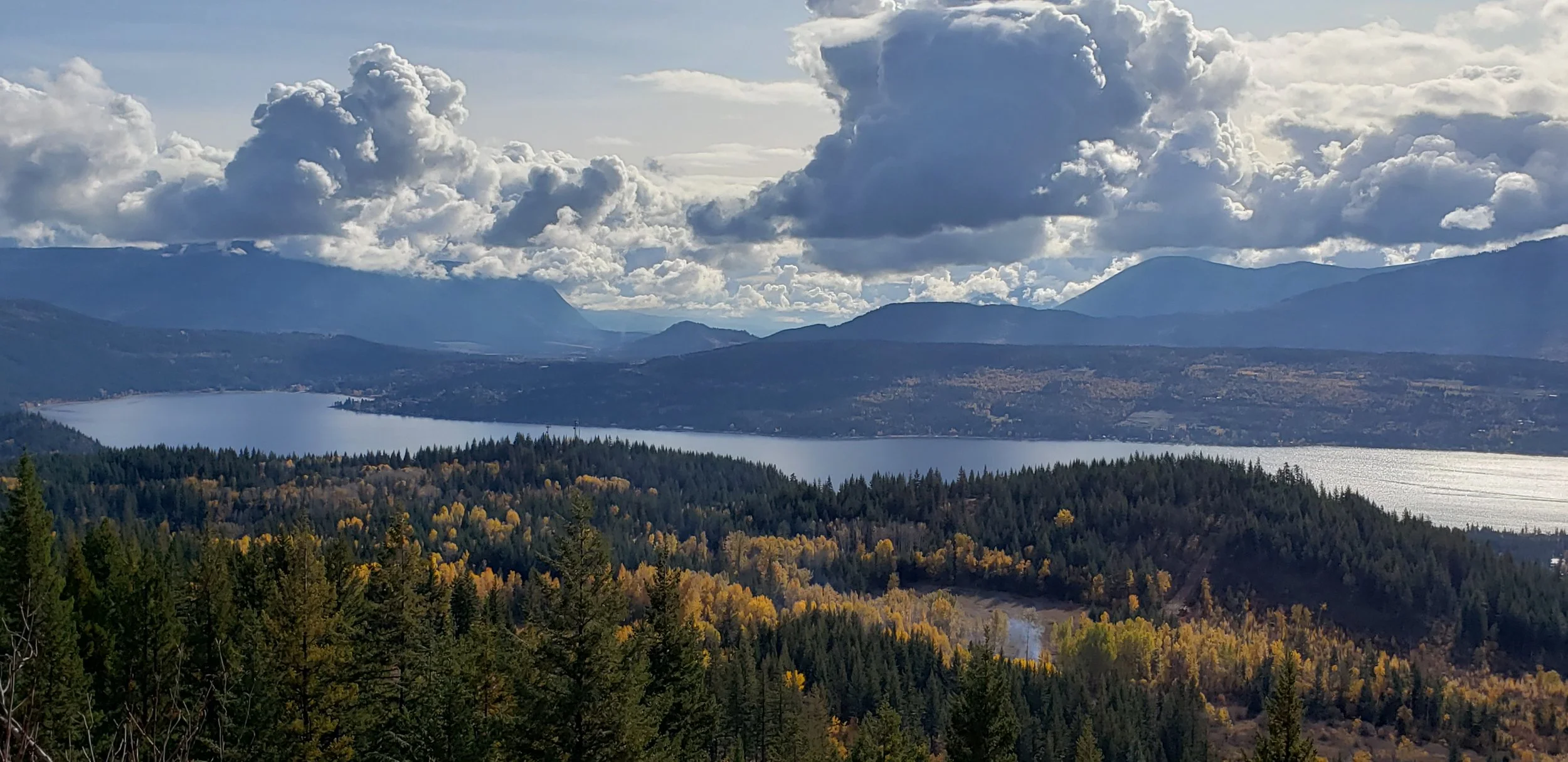 SEDS Looking to Prioritize Ideas for Economic Prosperity