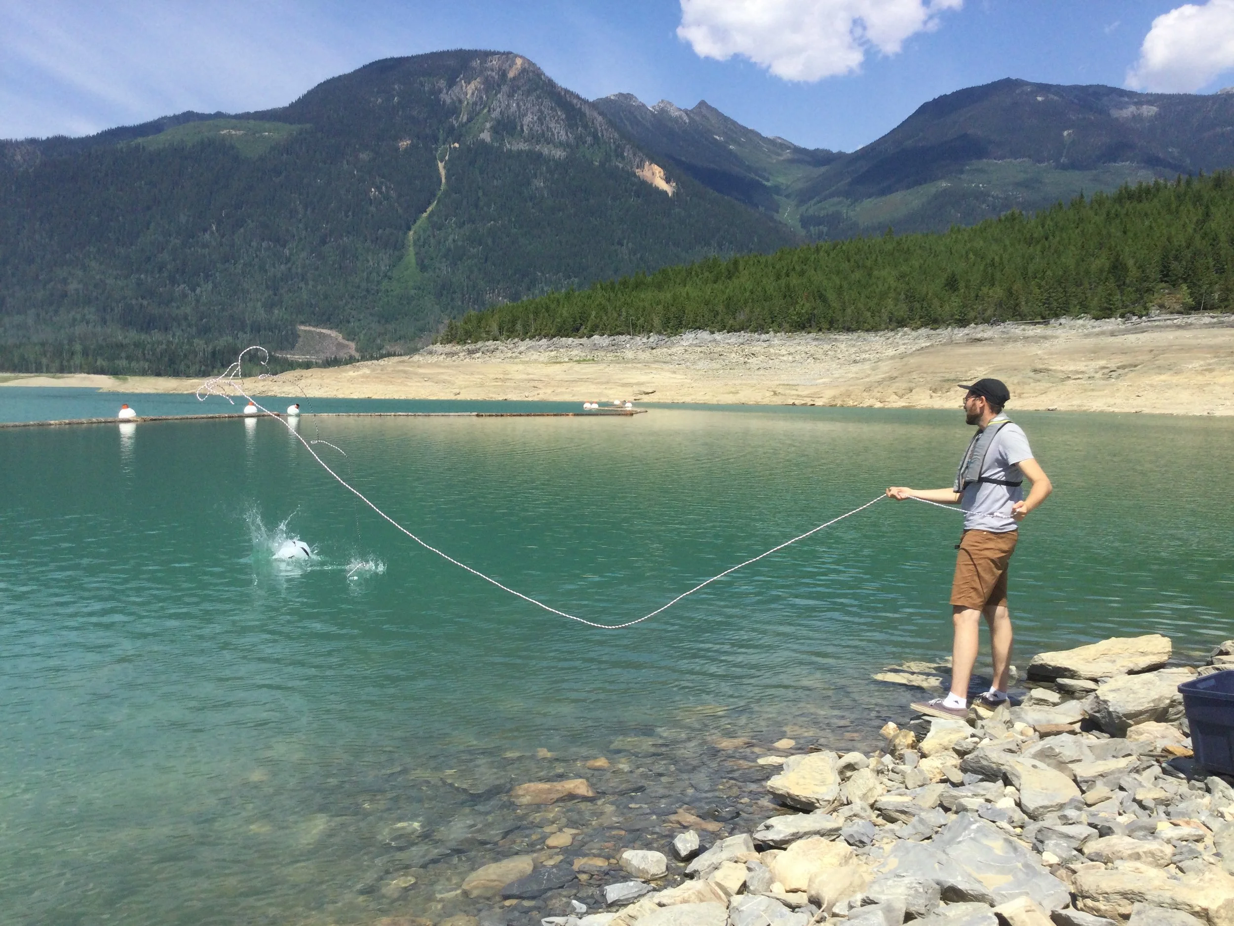 Shuswap Watershed Groups Urge BC for Action Against Zebra and Quagga Mussels