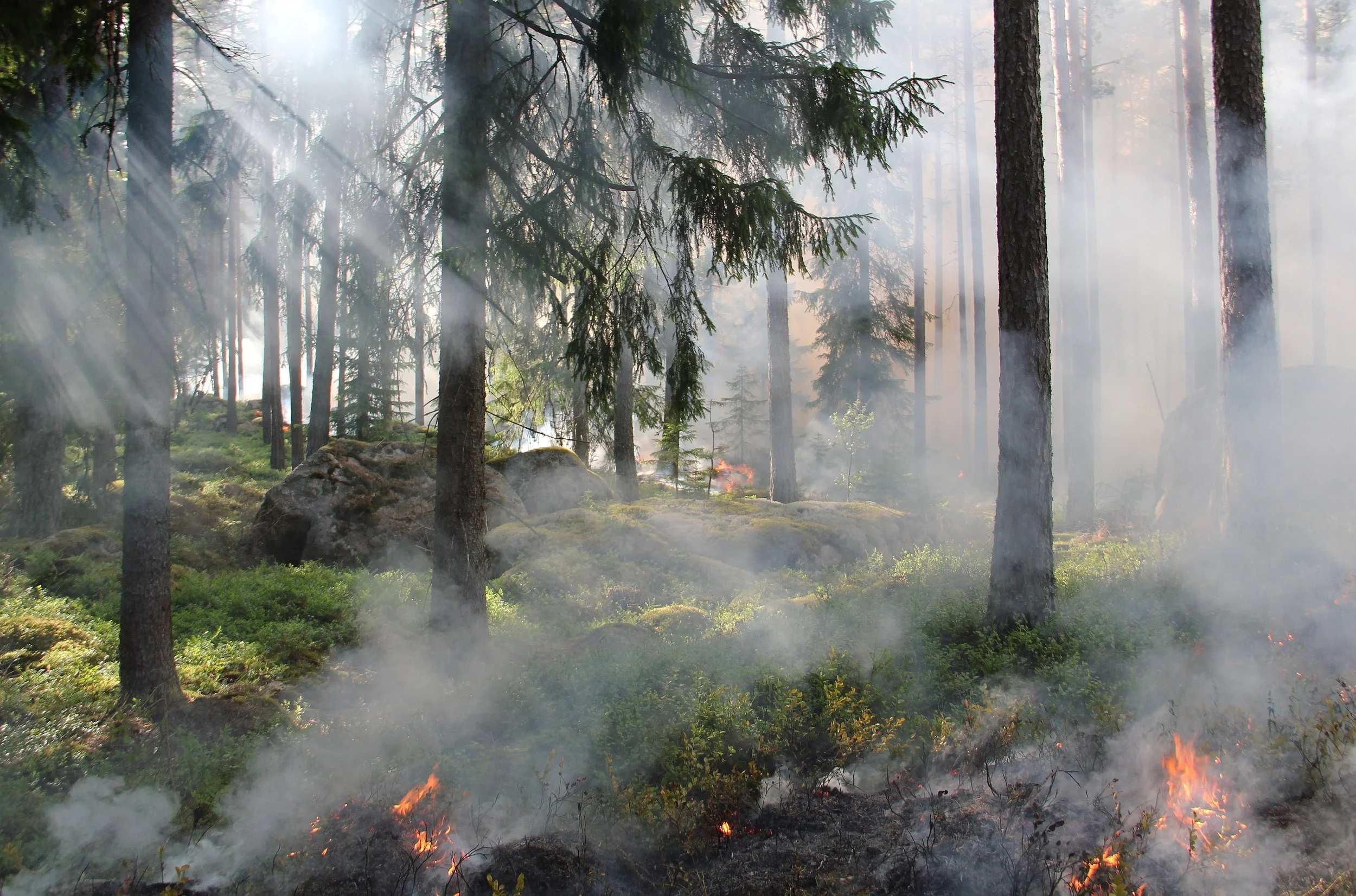 Local Fires Raise Concerns as Province Declares State of Emergency
