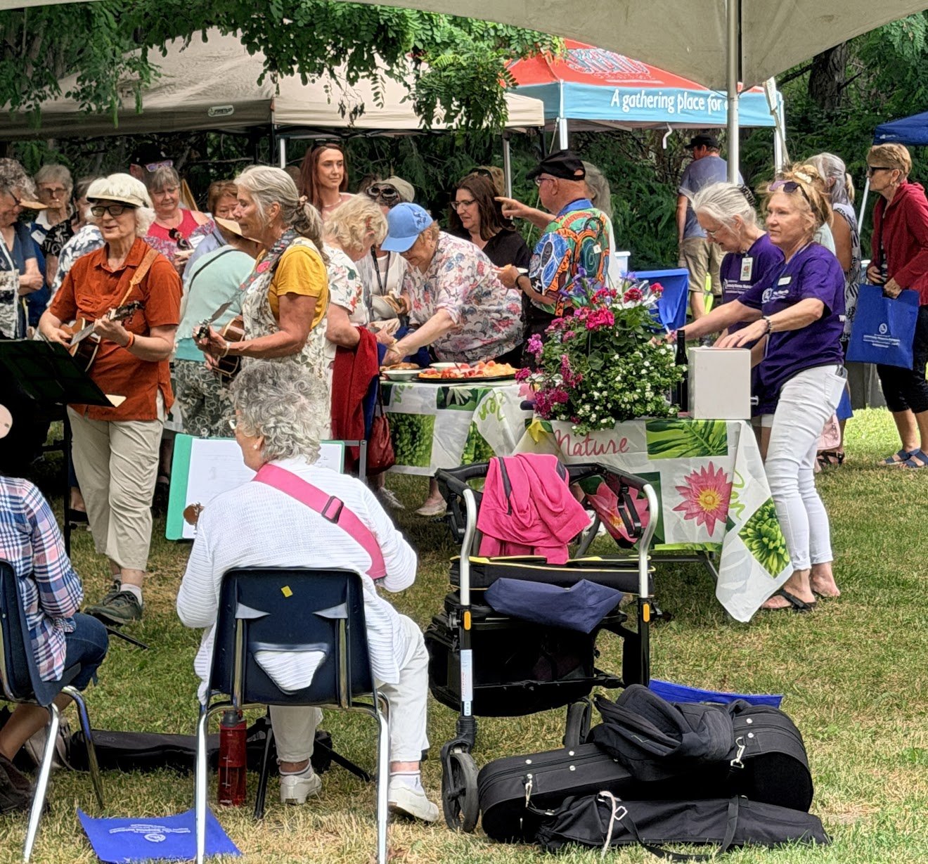 Celebrating Seniors: 4th Annual Summer Picnic  (Photo contributed)