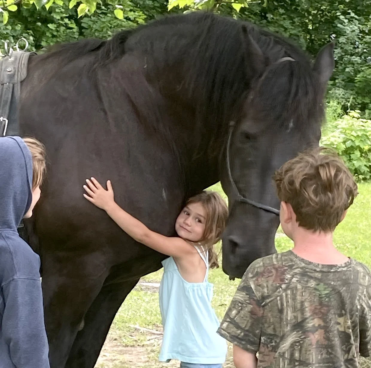 Conor the Horse
