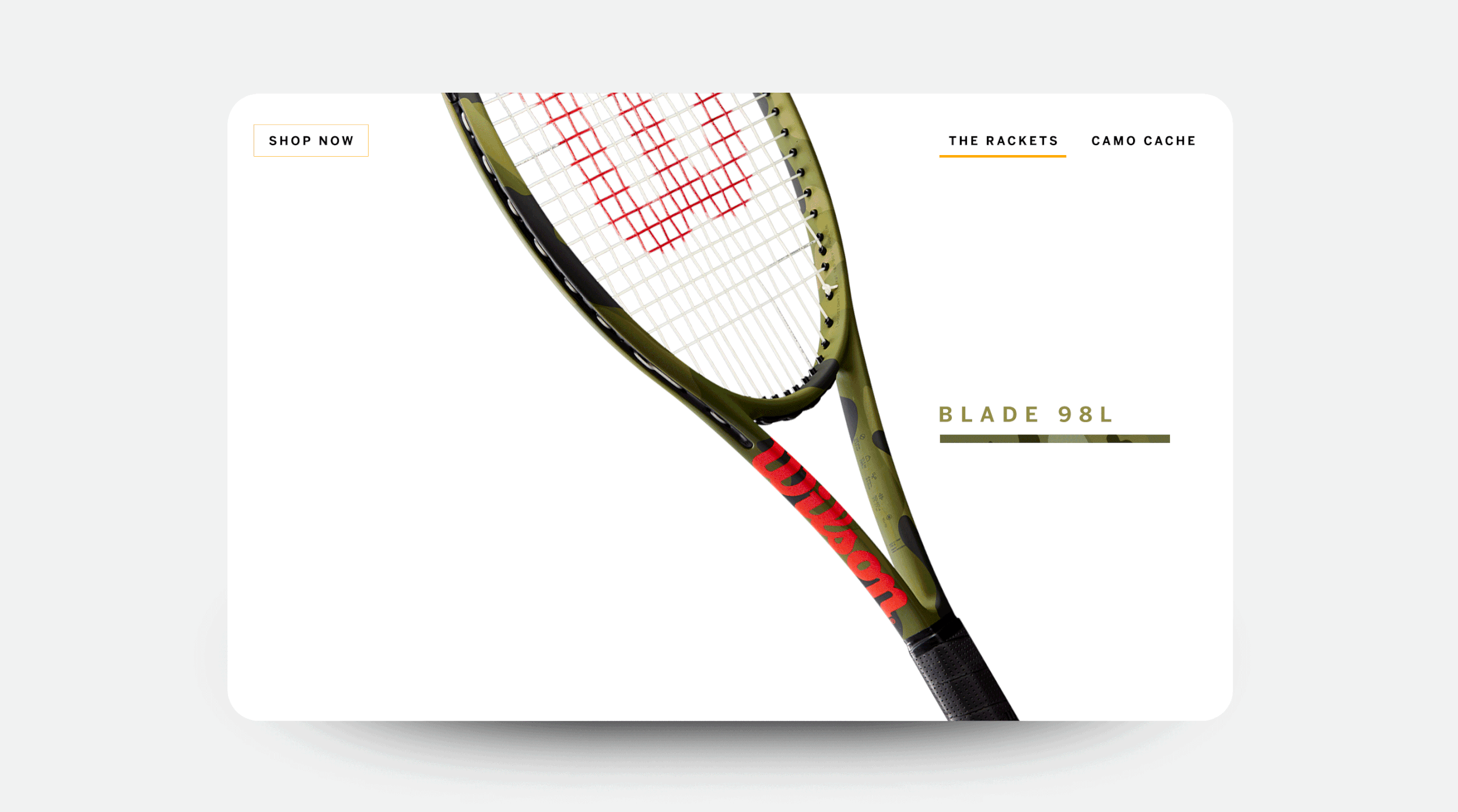 Proposed Landing Page 2