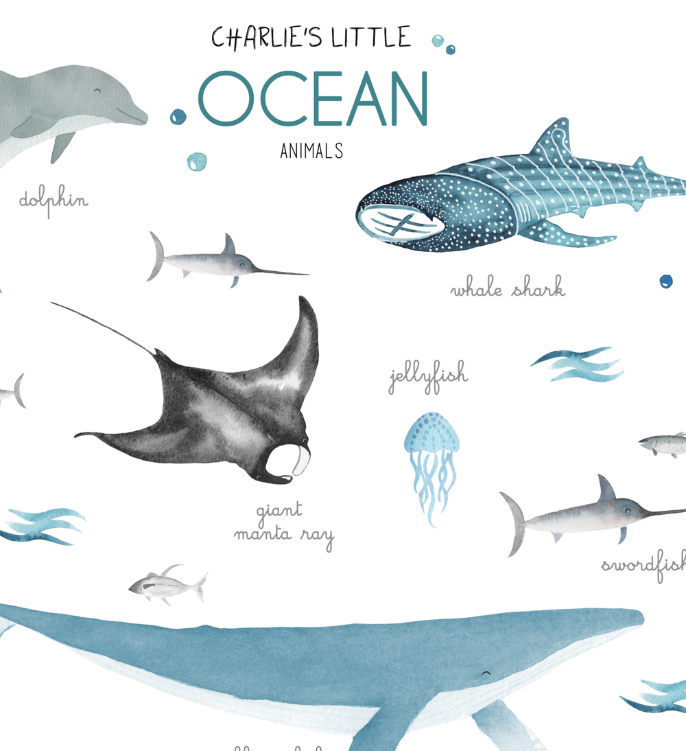 Educational poster - Ocean Animal — Happy Lazuly