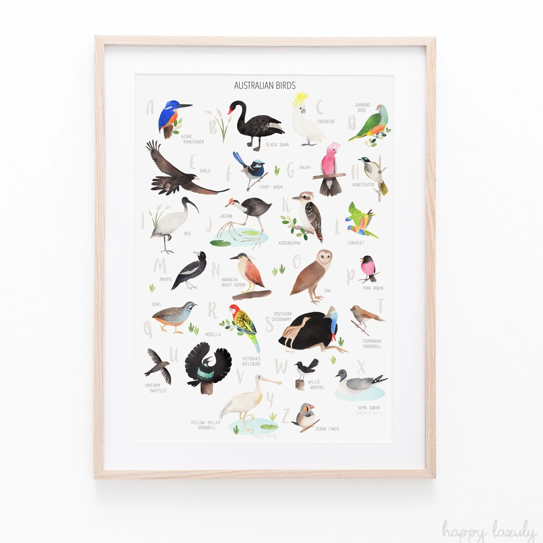 Australian native birds alphabet hand painted art