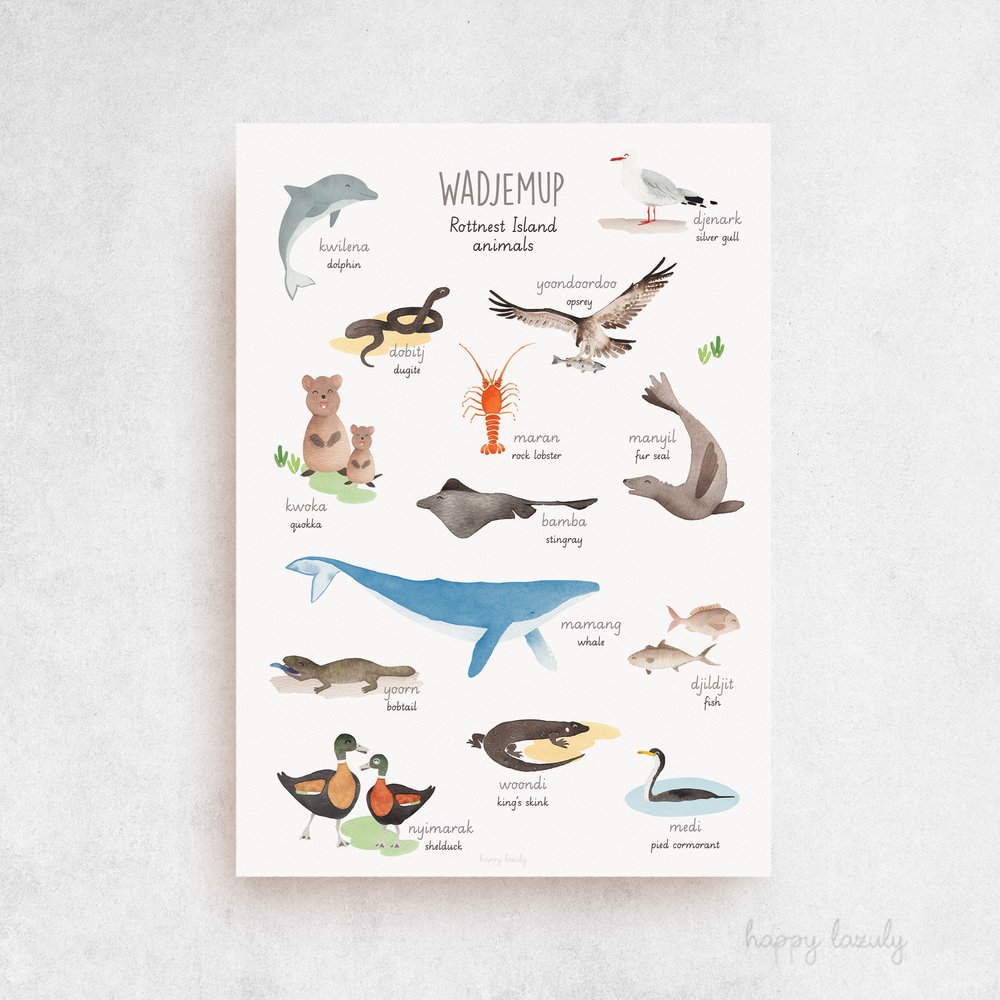 WILD ANIMALS - EDUCATIONAL CHART POSTER (61x91cm) NEW WALL ART PICTURE PRINT