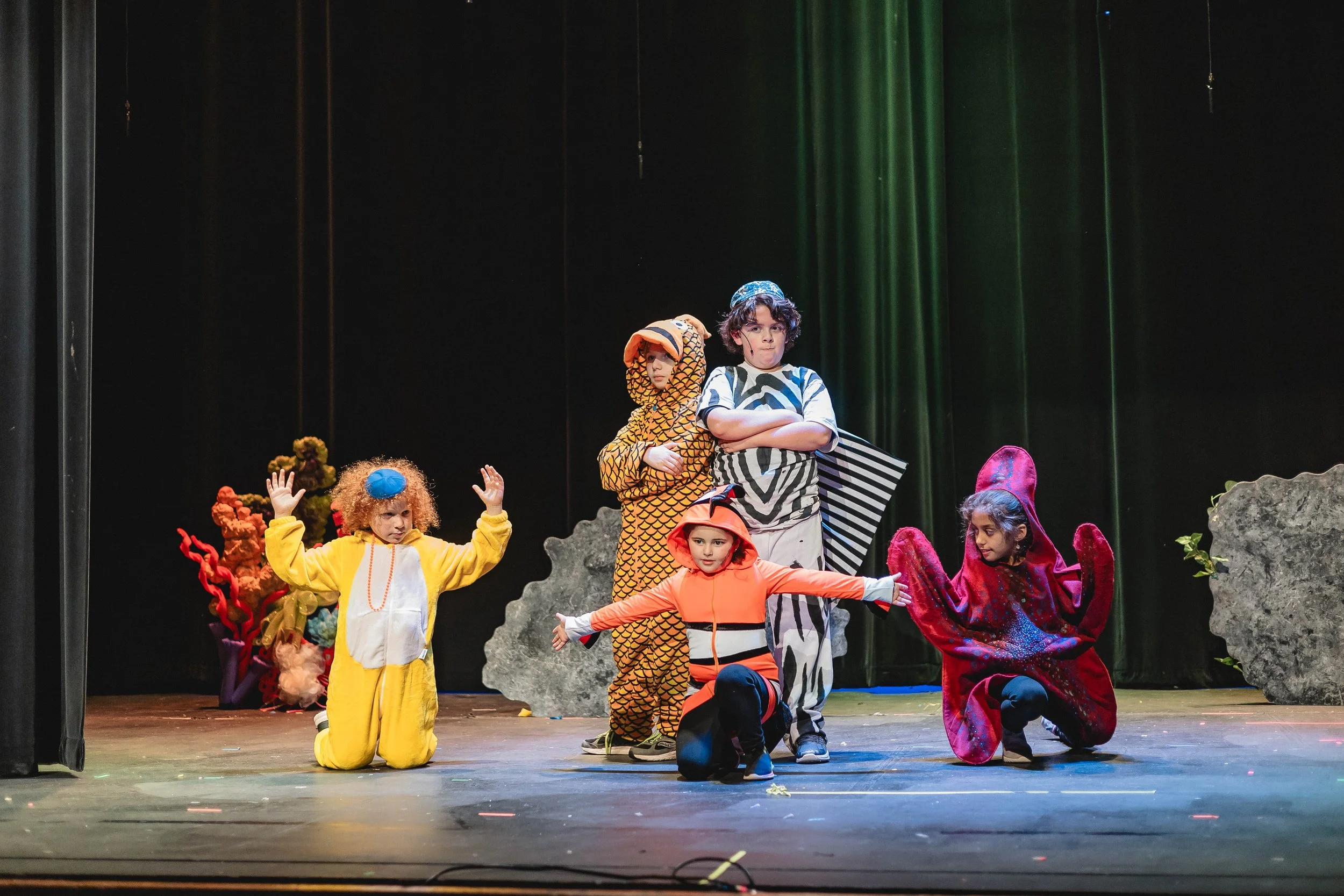 Nemo (134 of 165).jpg