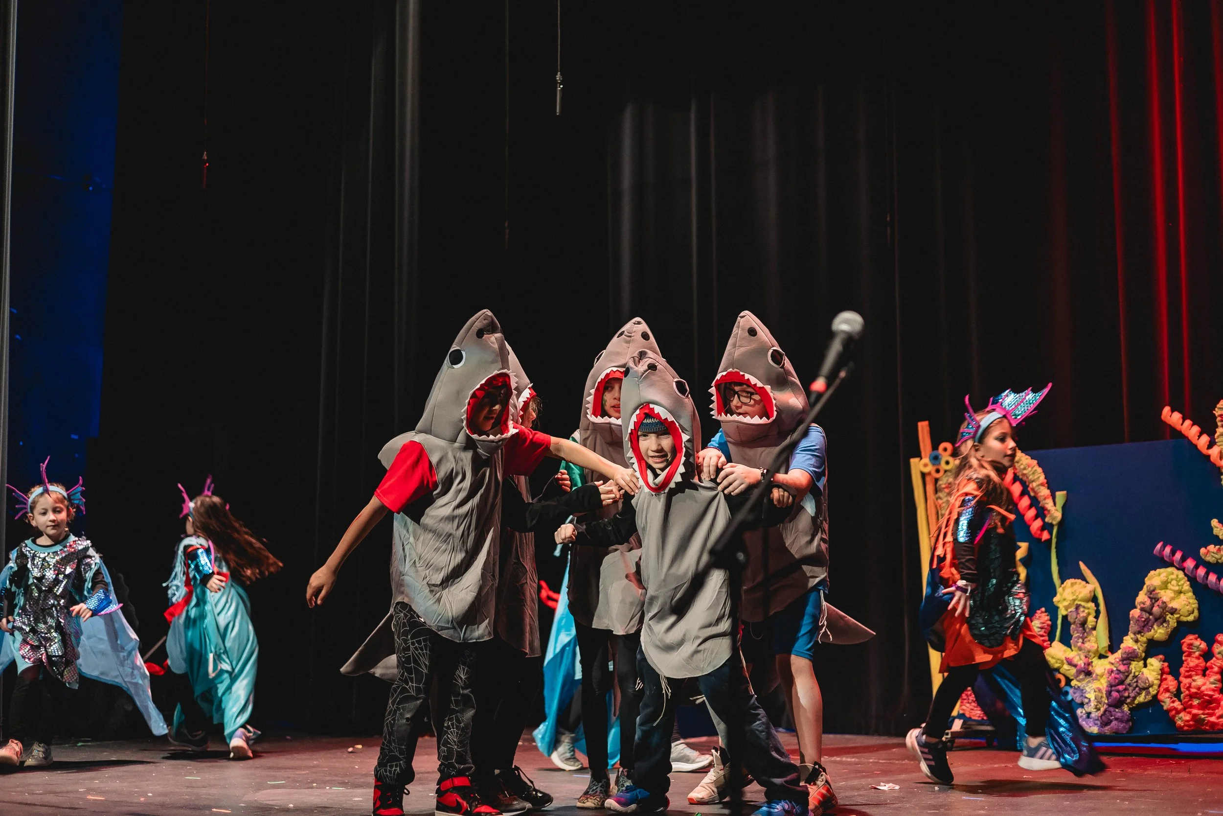 Nemo (125 of 165).jpg