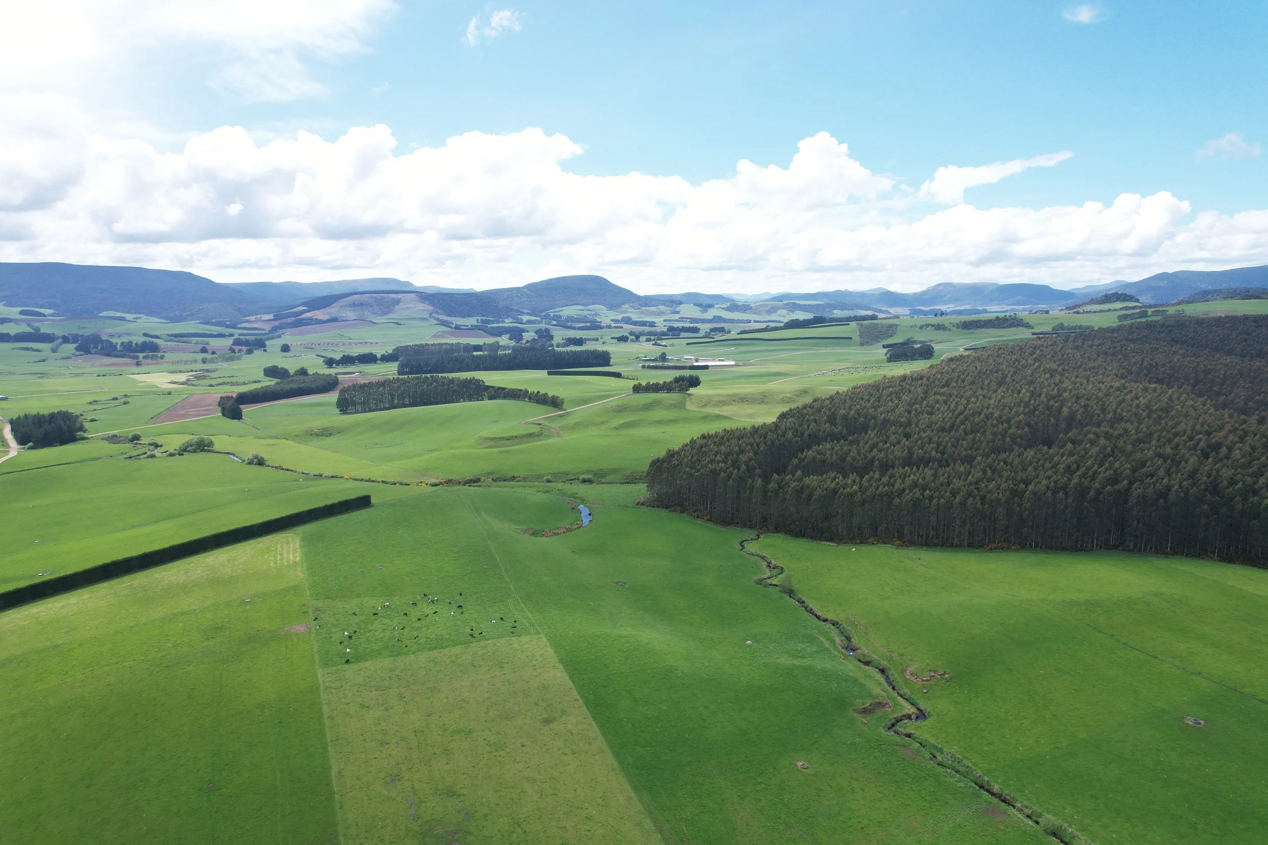 Spreadeagle, Canterbury, New Zealand  |  Farm Type: Pastoral  |  Acquisition Date: March 2025  |  Farm Size: 304 Ha