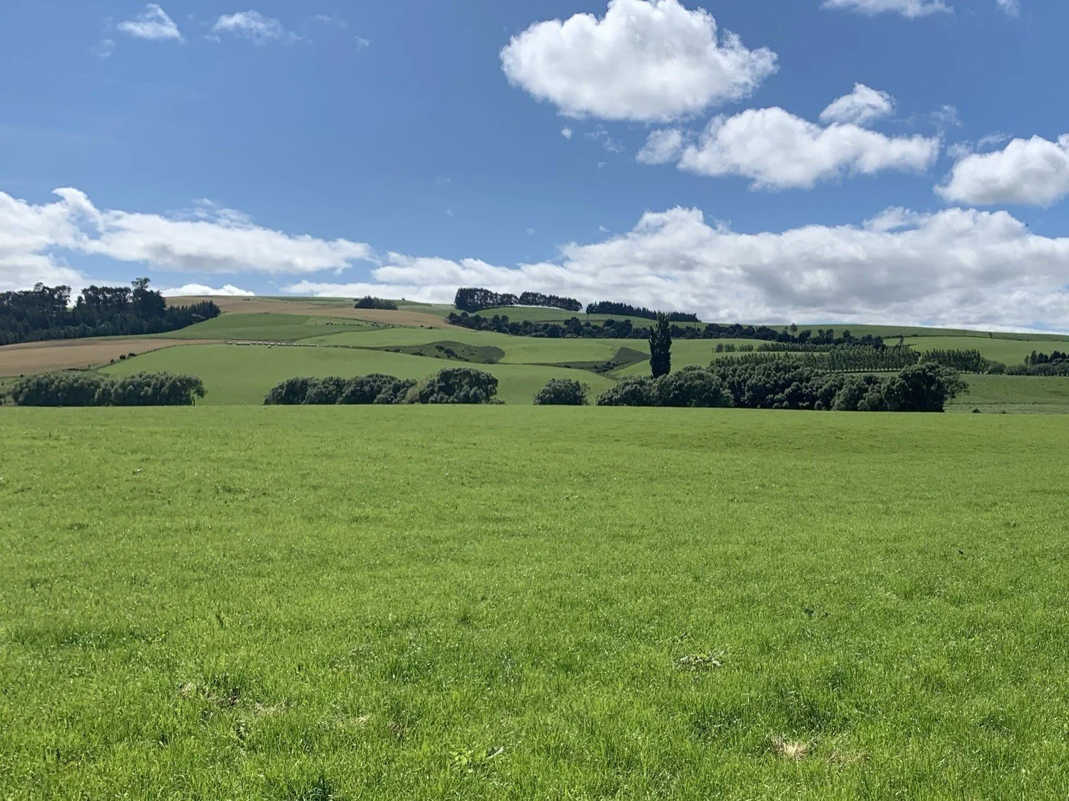 Tainui, Canterbury, New Zealand  |  Farm Type: Pastoral  |  Acquisition Date: April 2021  |  Farm Size: 434 Ha