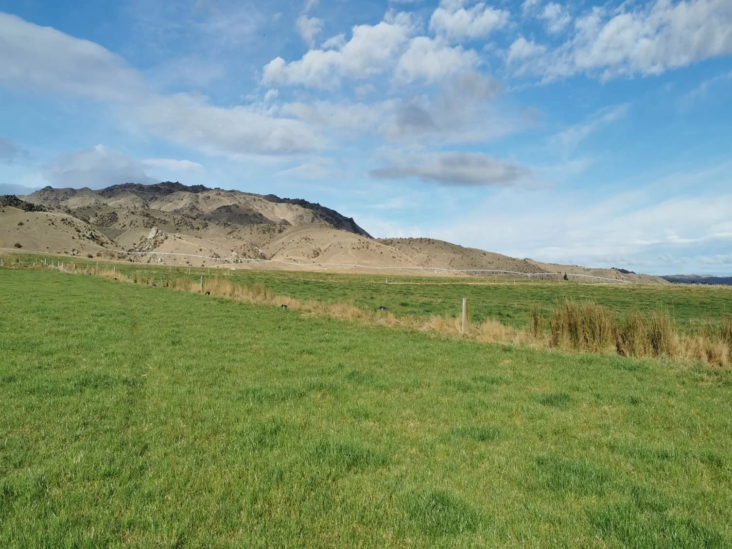 OUR LANDHOLDINGS — New Zealand Rural Land Co